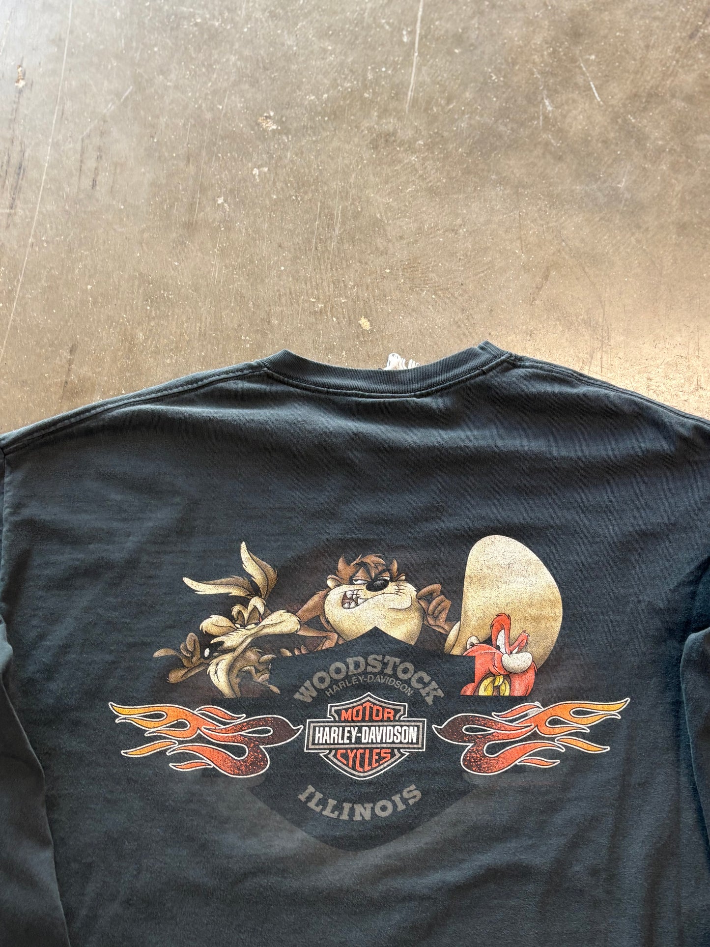 Vintage Looney Tunes Taz long sleeve size xl