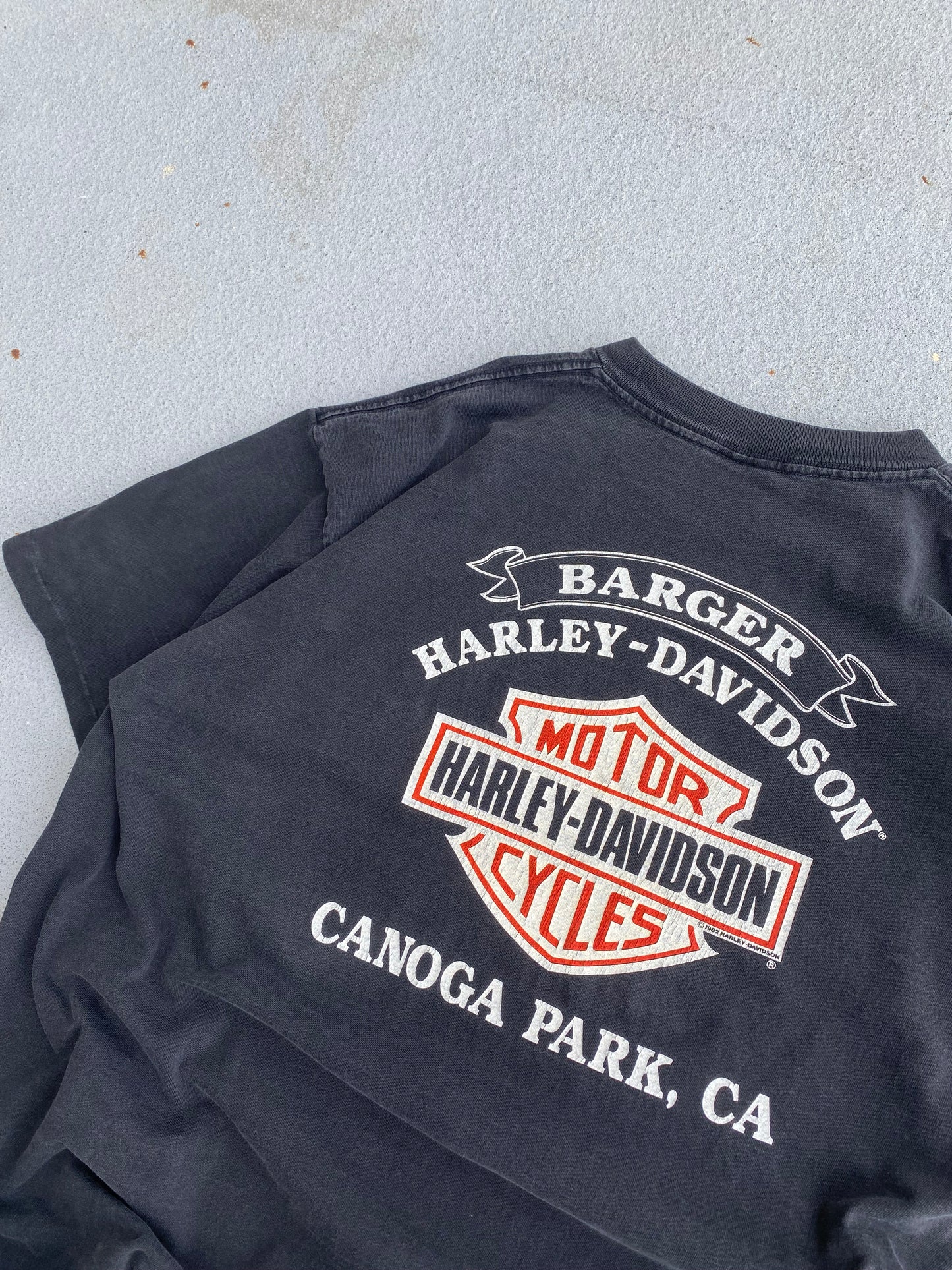 Vintage Harley Davidson Take Hold of the Thunder size XL