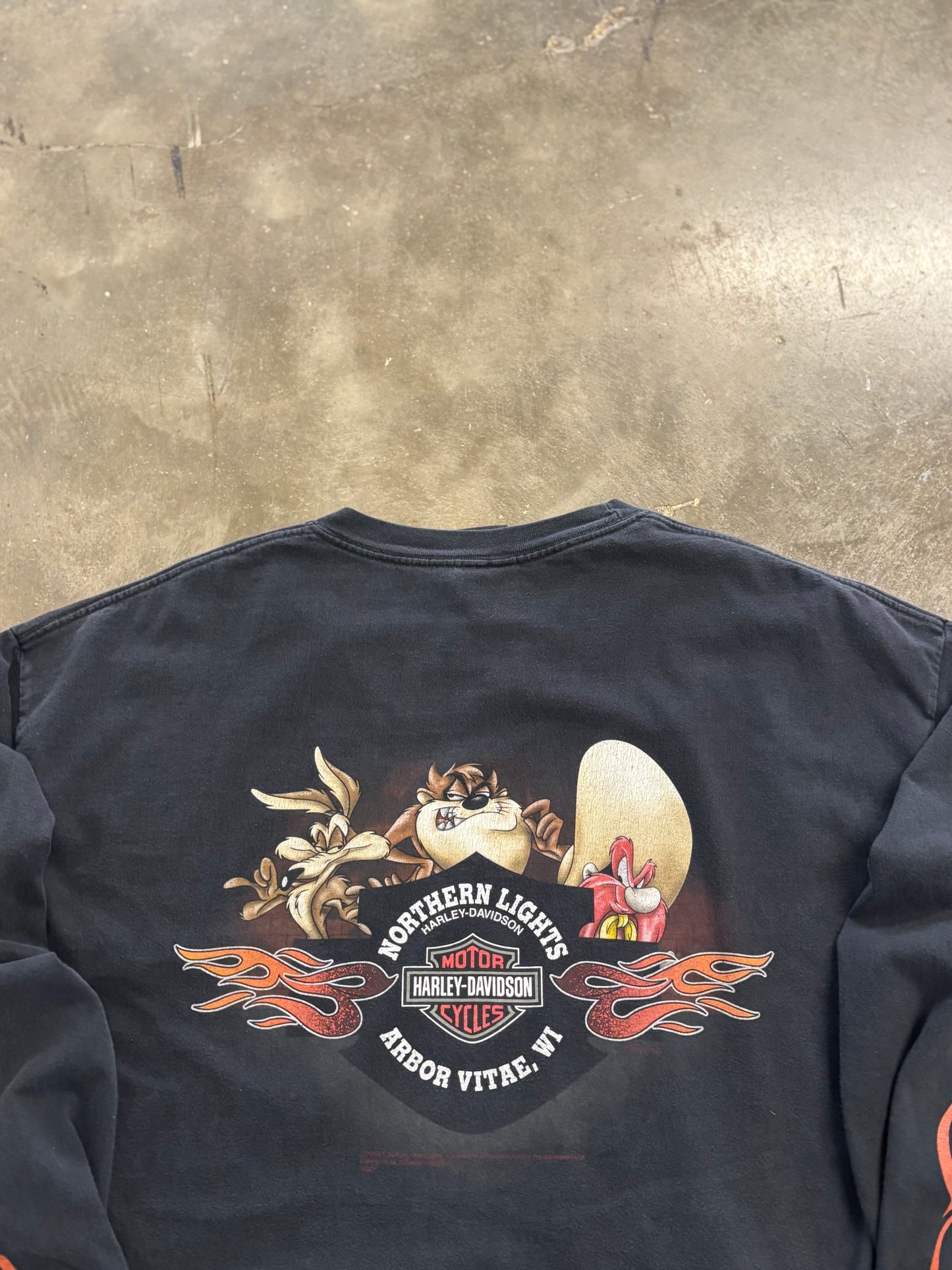 Vintage Harley Davidson Taz looney tunes flame long sleeve size xxl