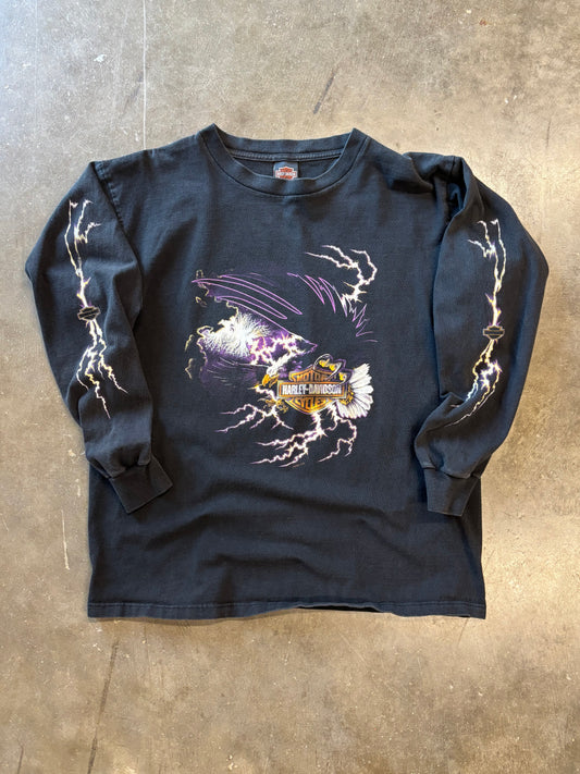 Vintage Harley Lighting Purple Eagle long sleeve size large