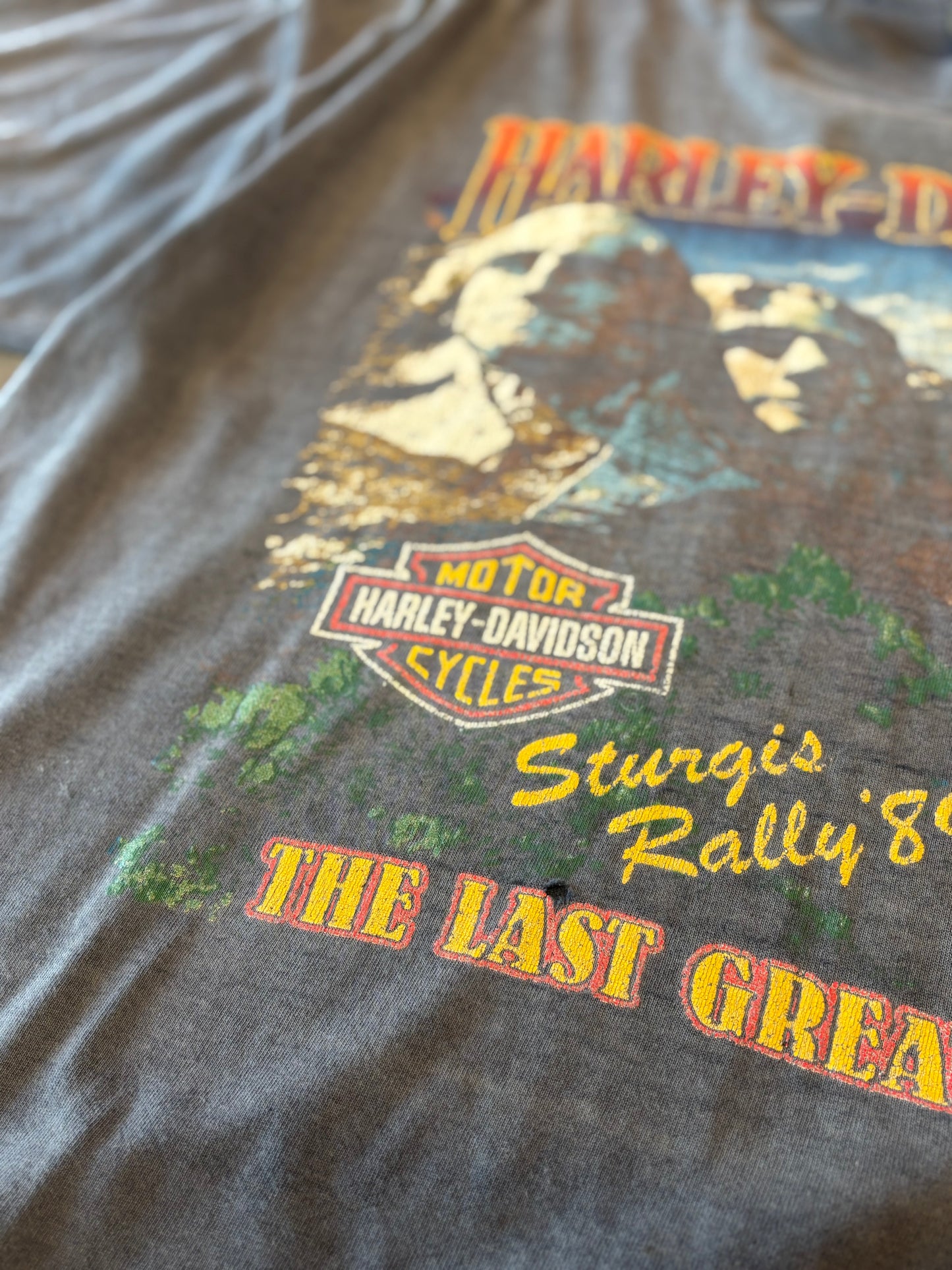 Vintage Harley Davidson The Last Great American size extra large