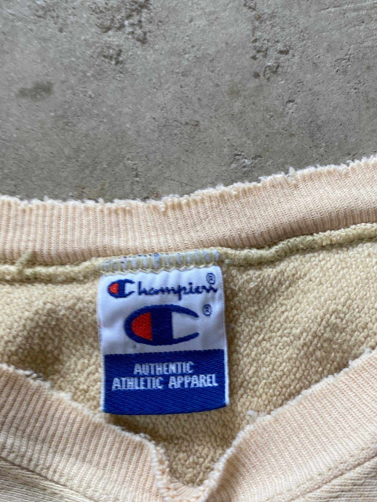 Vintage Champion Iowa Reverse weave sweatshirt Earth Tone Size XL