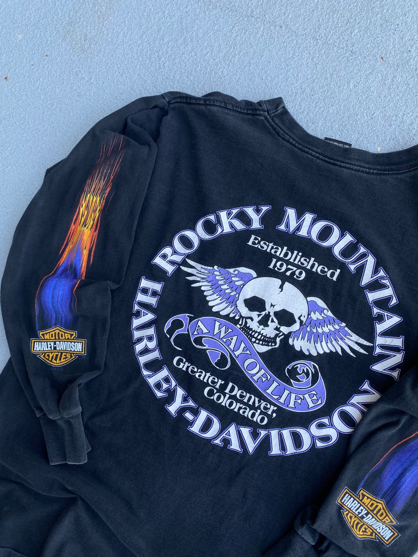 Vintage Harley Flaming Purple Eagle long sleeve shirt size medium