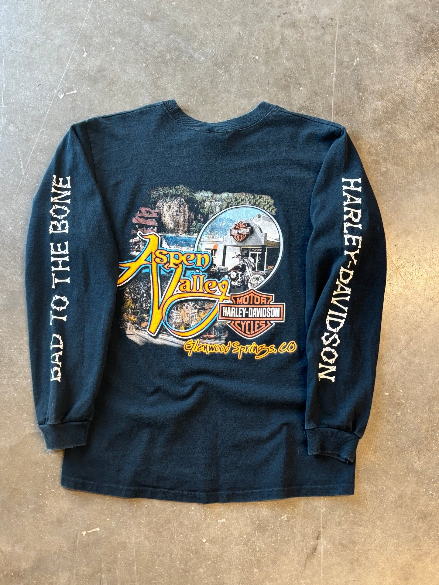 Vintage Harley Davidson bad to the bone long sleeve size medium
