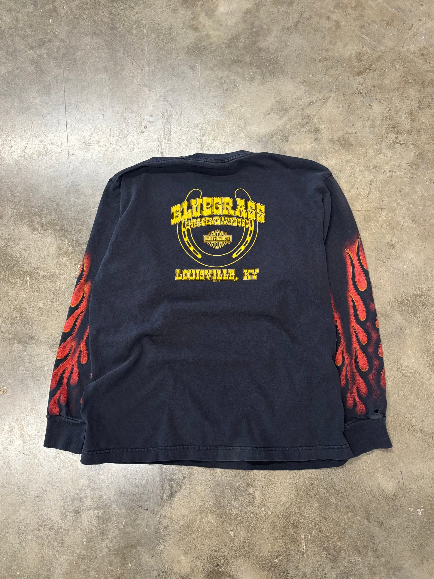 Vintage Harley Davidson Inferno Longsleeve size medium