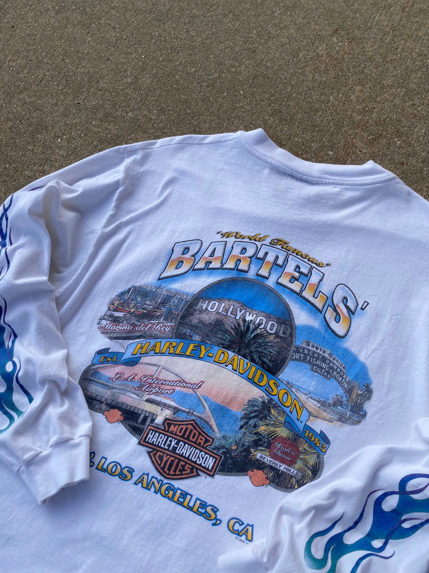 Vintage Harley Davidson Eagle Blue Flame Long sleeve Size Large