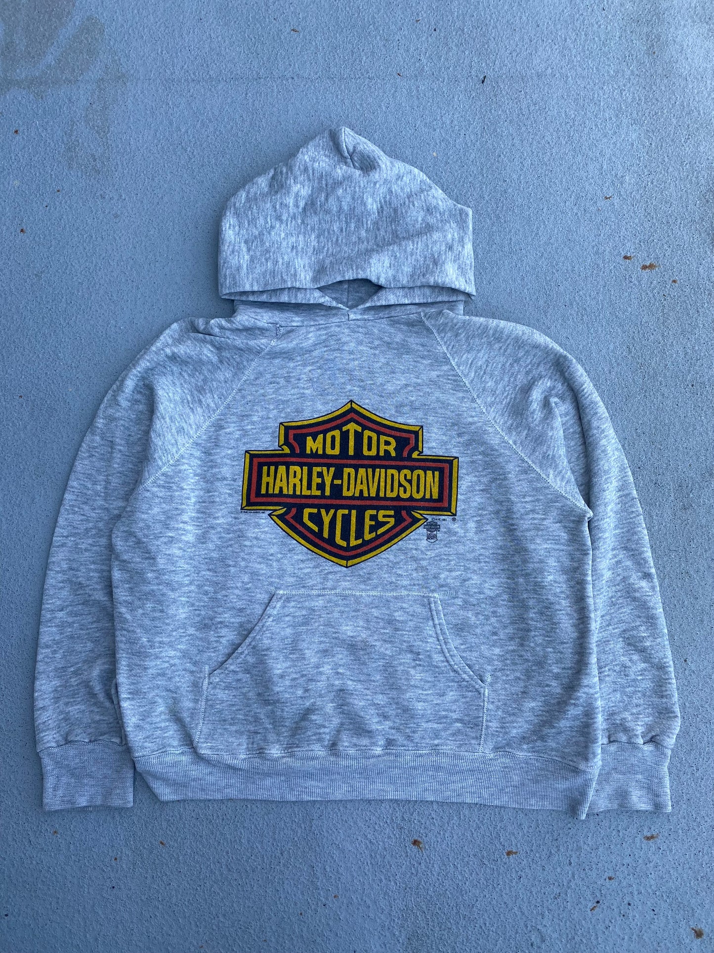 Vintage Harley Davidson 1982 Hoodie Size Extra Large