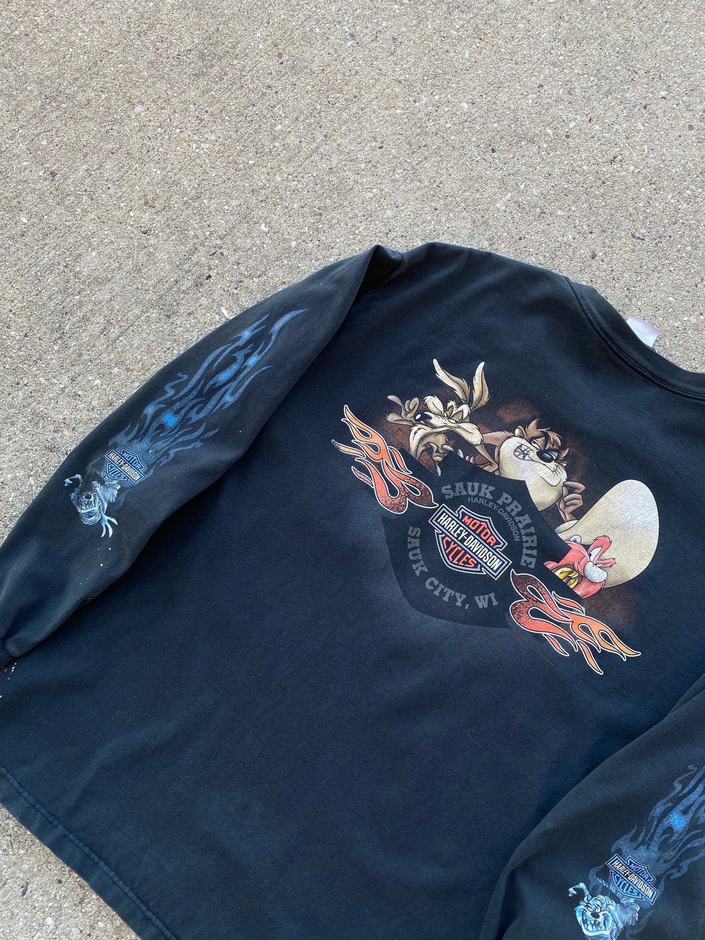 Vintage Harley Davidson Looney Tunes long sleeve taz flames shirt size large