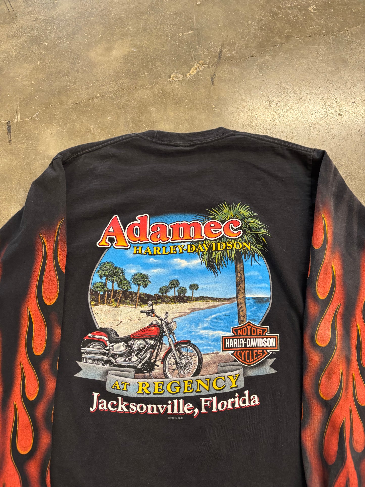 Vintage Harley Davidson Inferno long sleeve size large/xl
