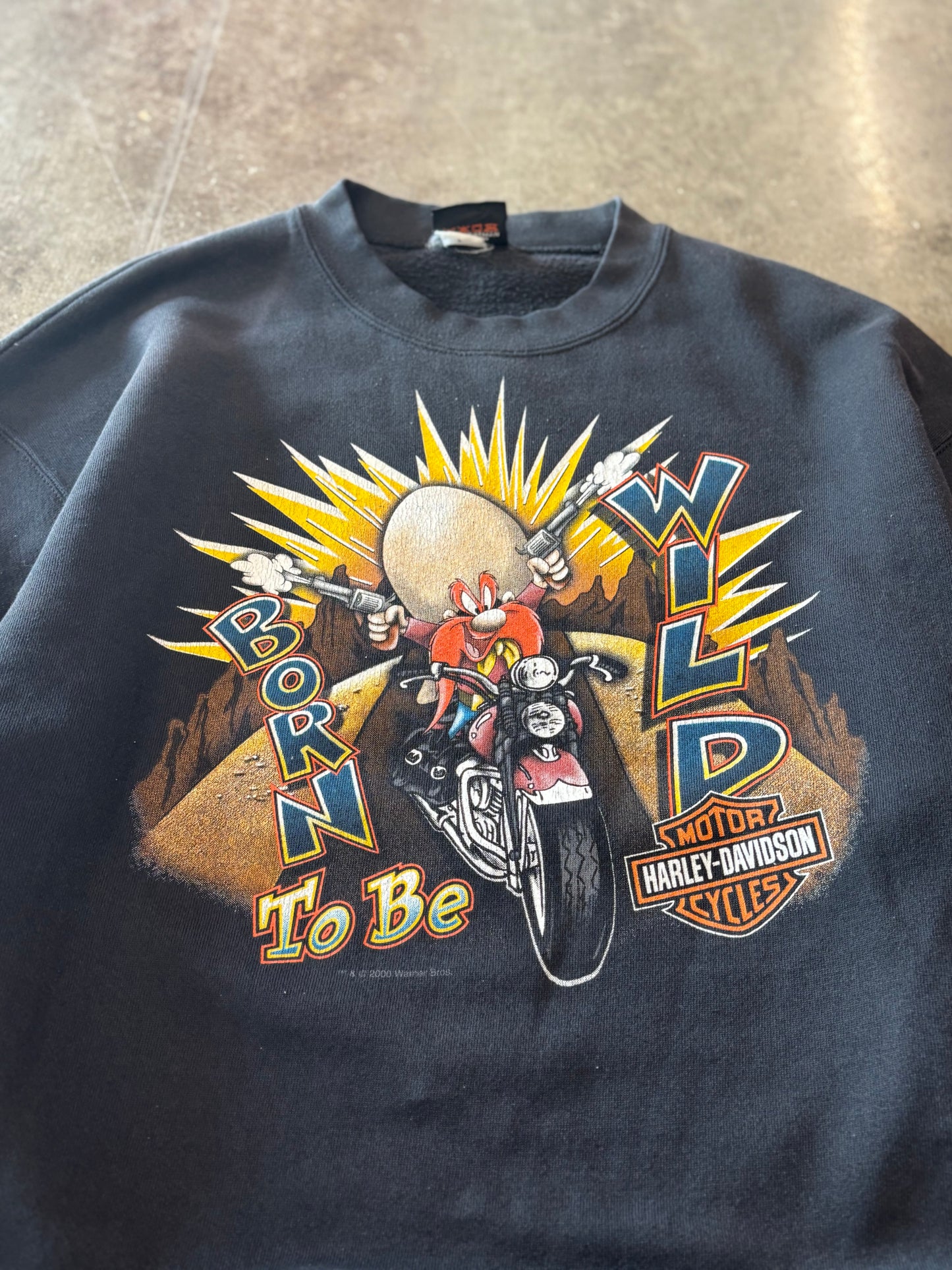 Vintage Harley Davidson looney tunes sweatshirt size xl