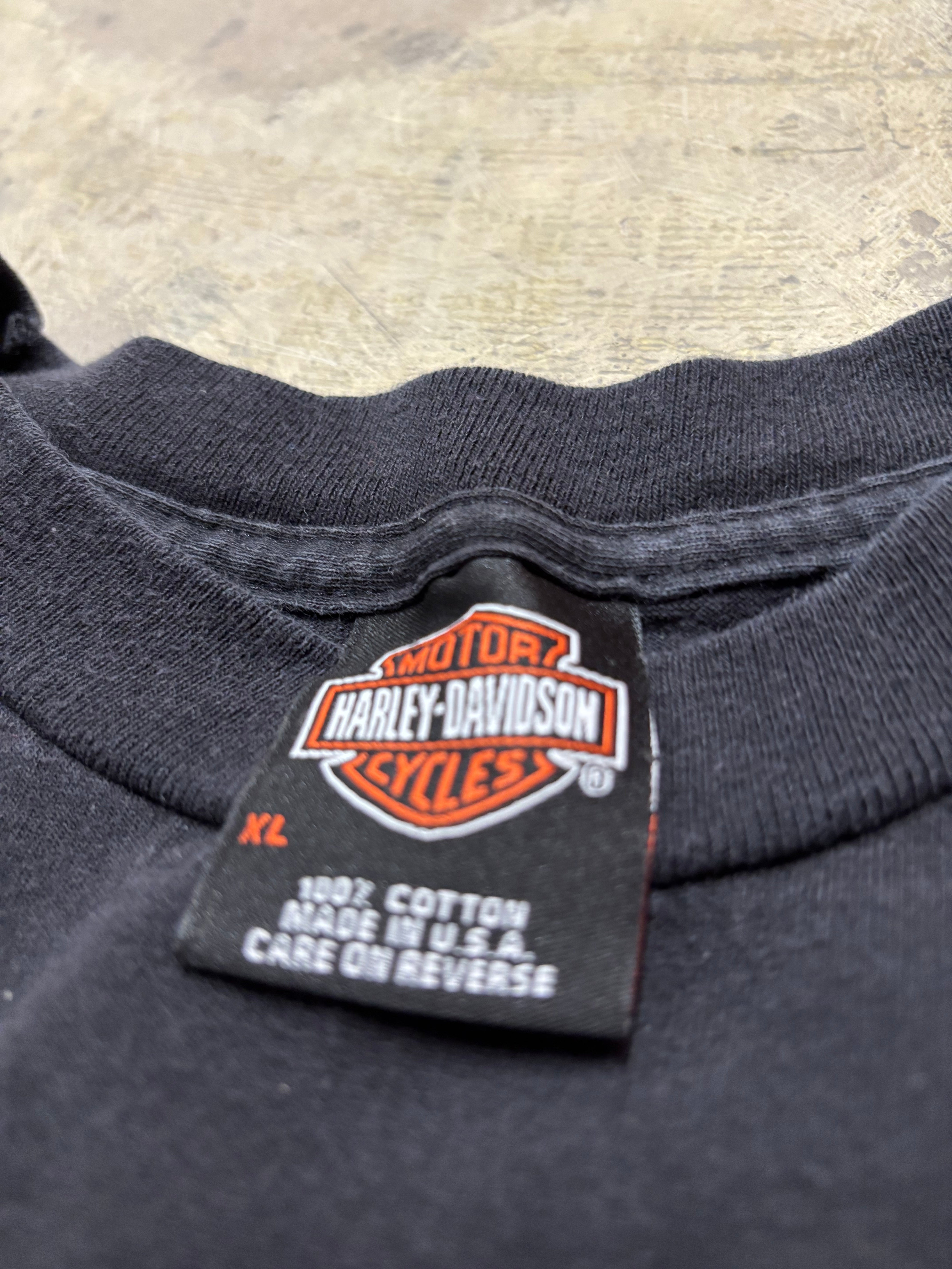Vintage Harley Davidson spider web longsleeve shirt size XL
