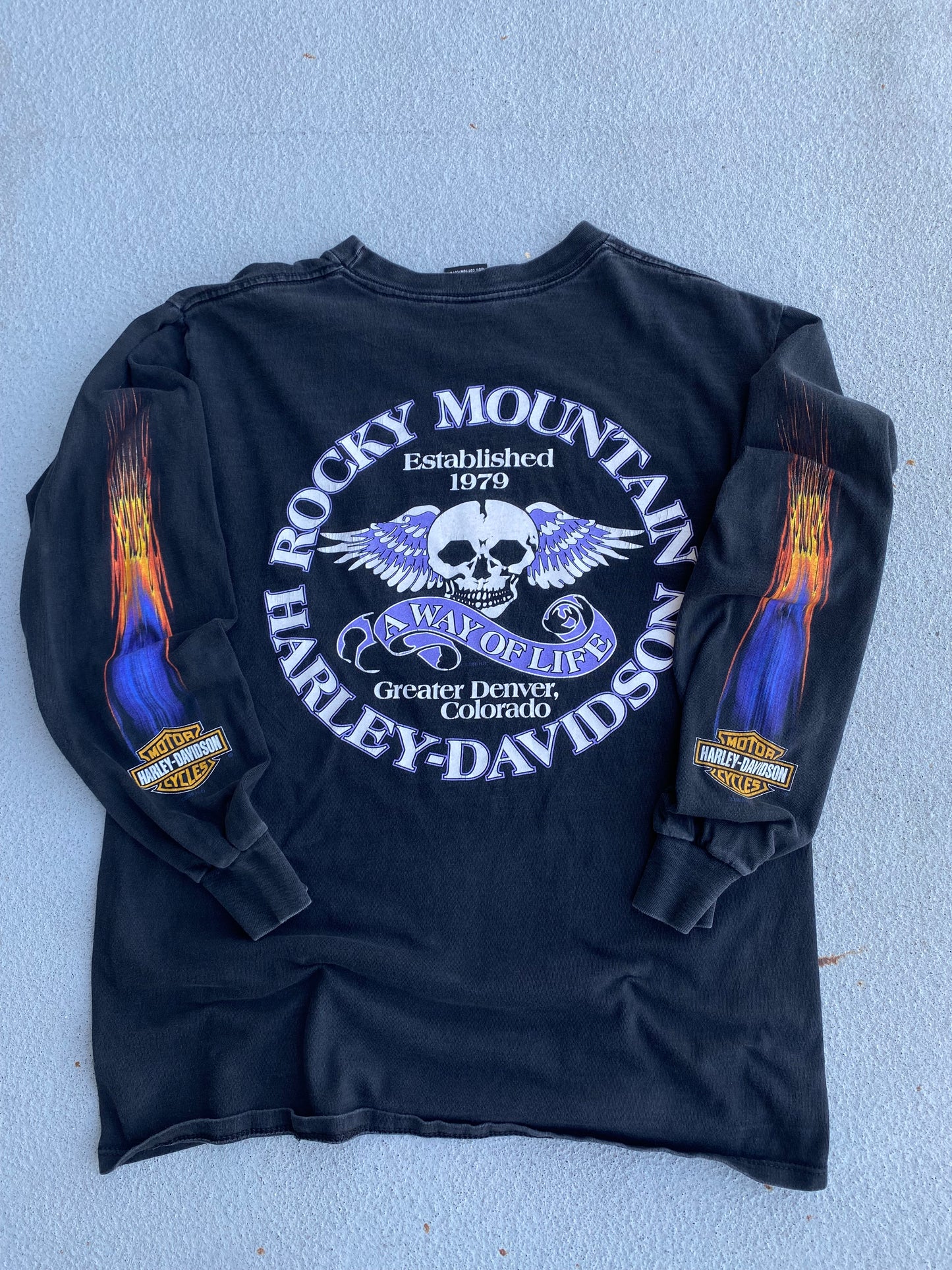 Vintage Harley Flaming Purple Eagle long sleeve shirt size medium