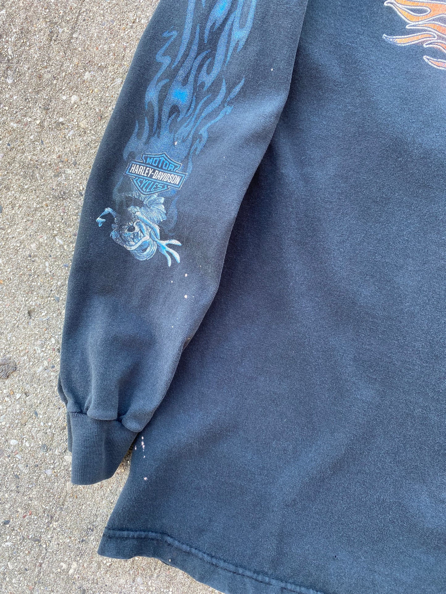 Vintage Harley Davidson Looney Tunes long sleeve taz flames shirt size large