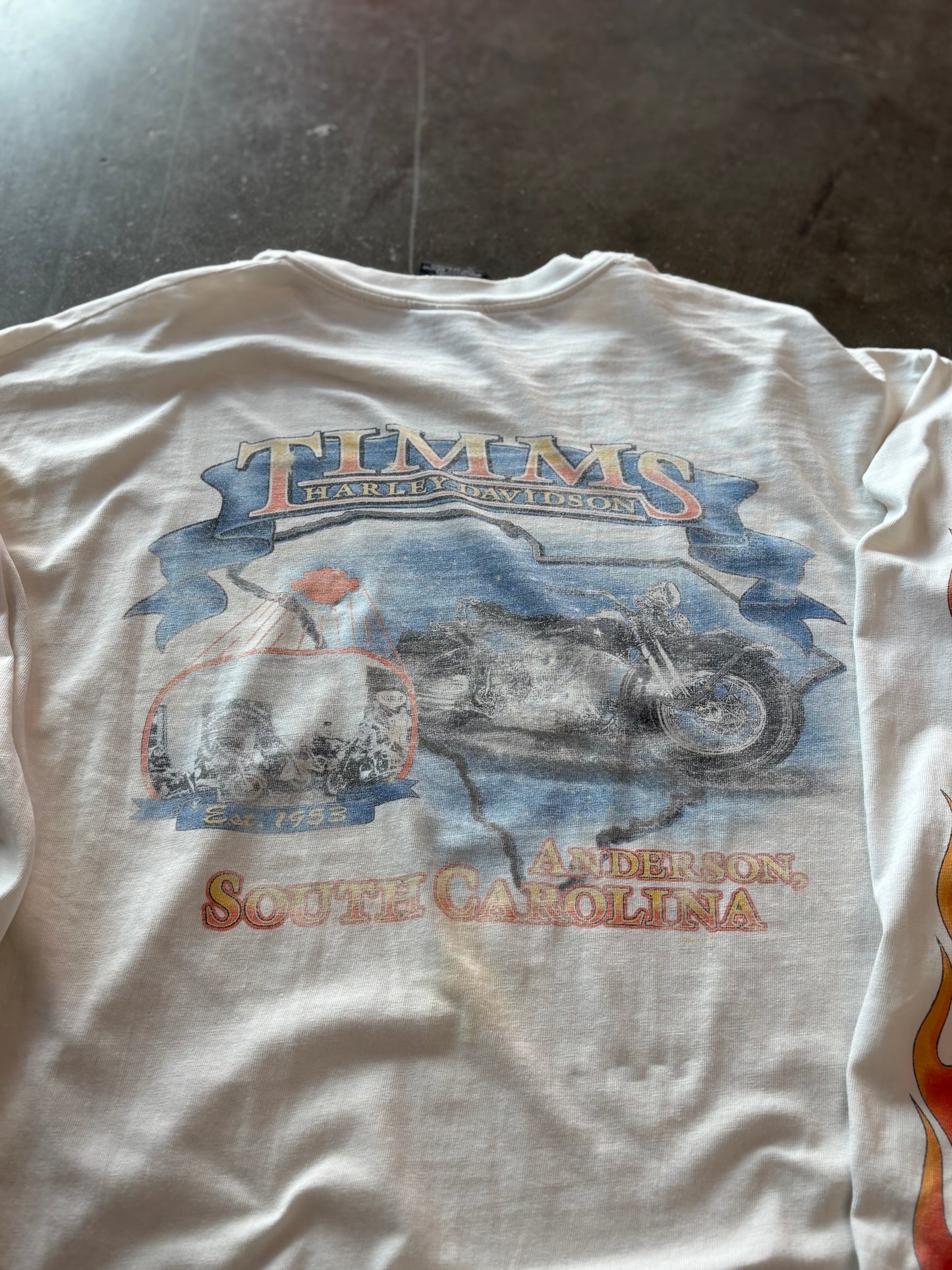 Vintage Harley Davidson Hell on wheels long sleeve size large