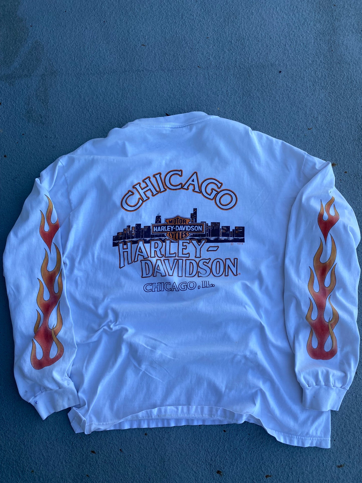 Vintage Harley Davidson Hell on Wheels Long sleeve Size XL