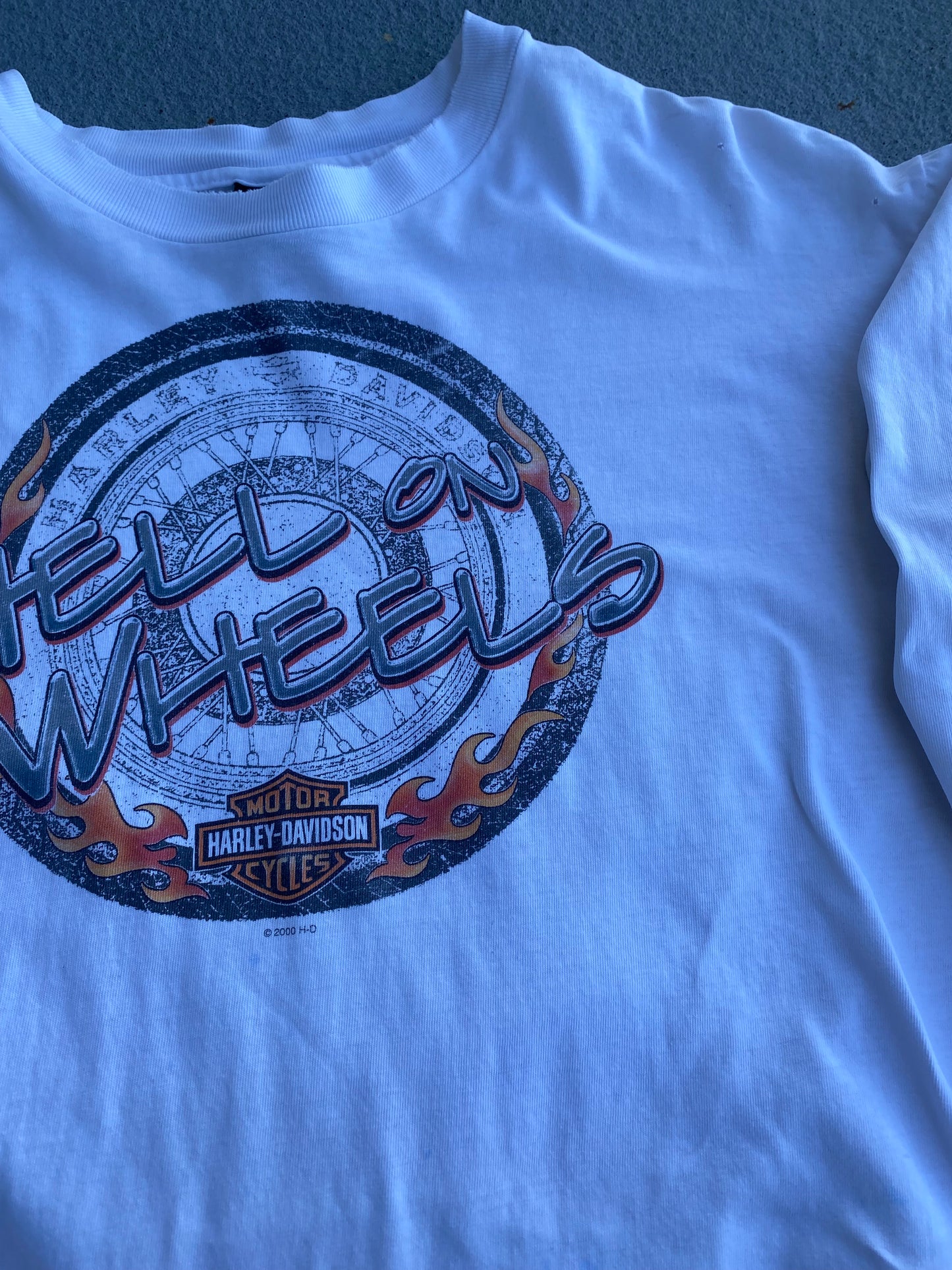 Vintage Harley Davidson Hell on Wheels Long sleeve Size XL