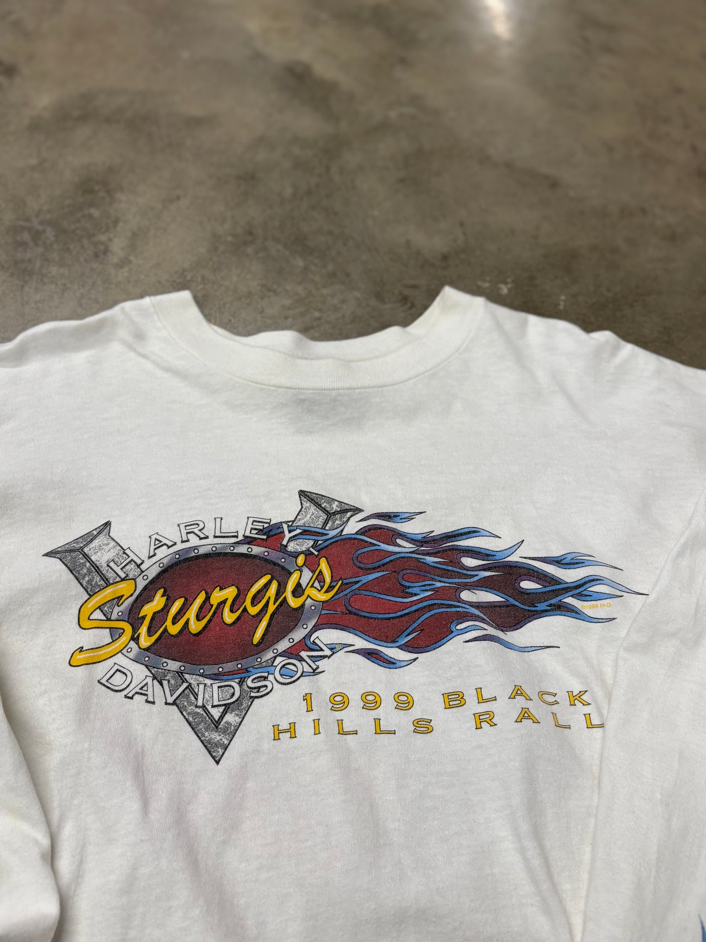 Vintage Harley Davidson Sturgis purple flame long sleeve size xl