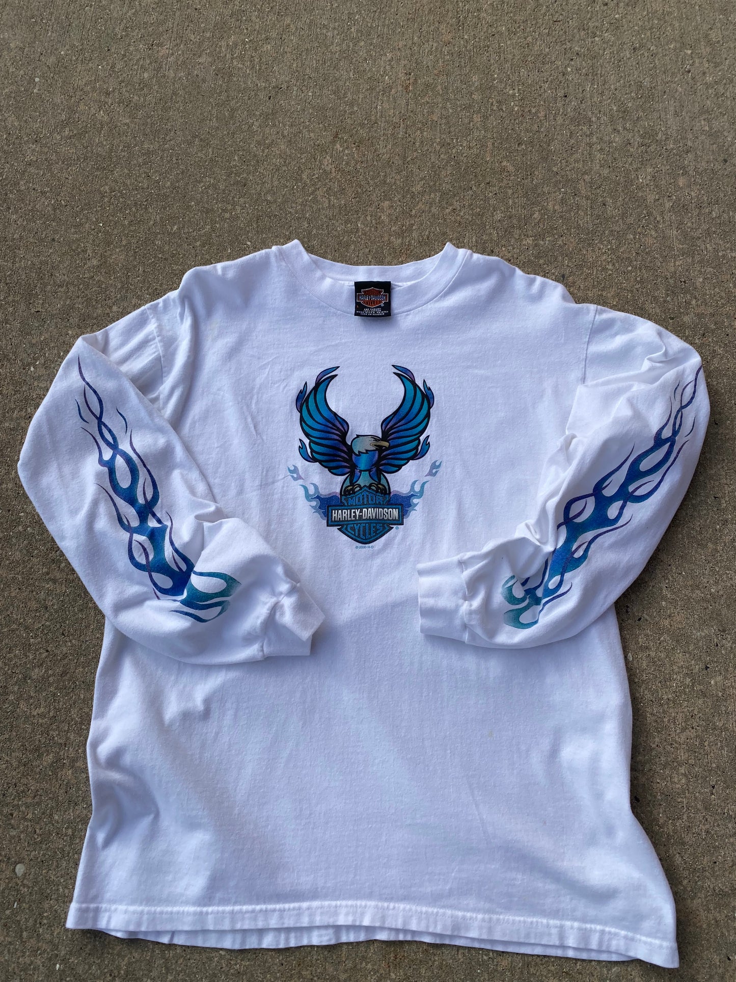 Vintage Harley Davidson Eagle Blue Flame Long sleeve Size Large