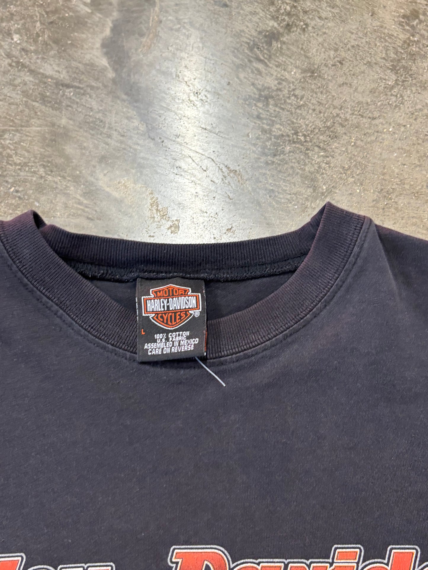 Vintage Harley Davidson Magma Long sleeve size large