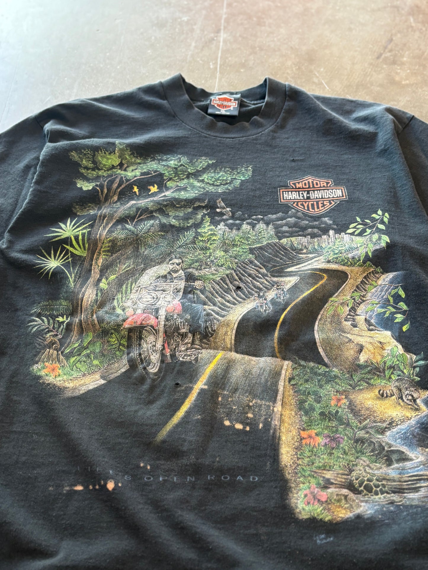 Vintage Harley Davidson this shirt is beautiful ong size xl