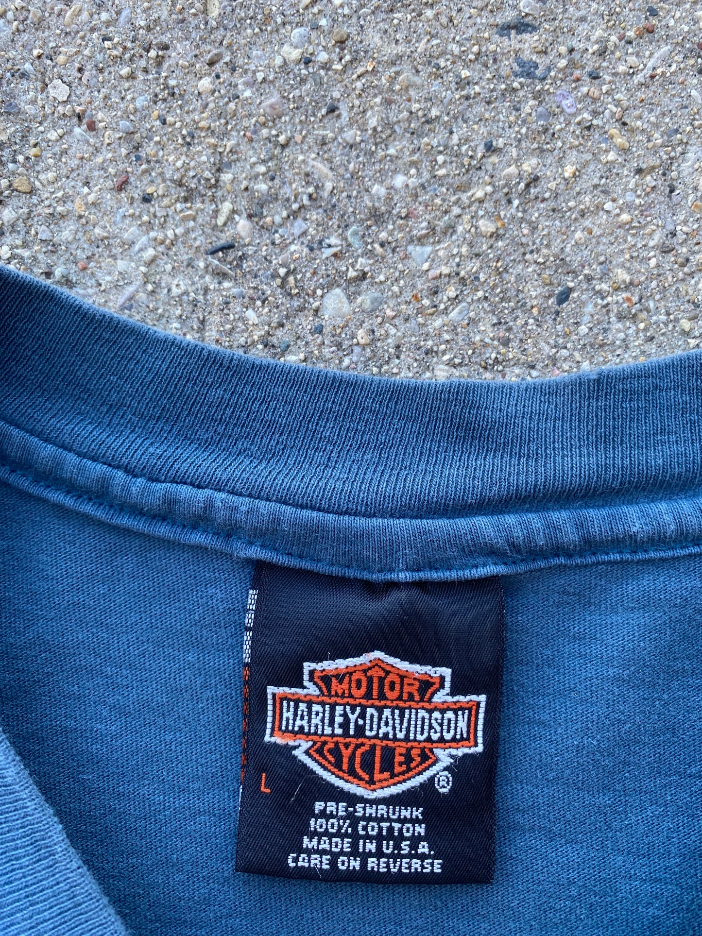 Vintage Harley Davidson Flying Eagle Blue Variant size large shirt