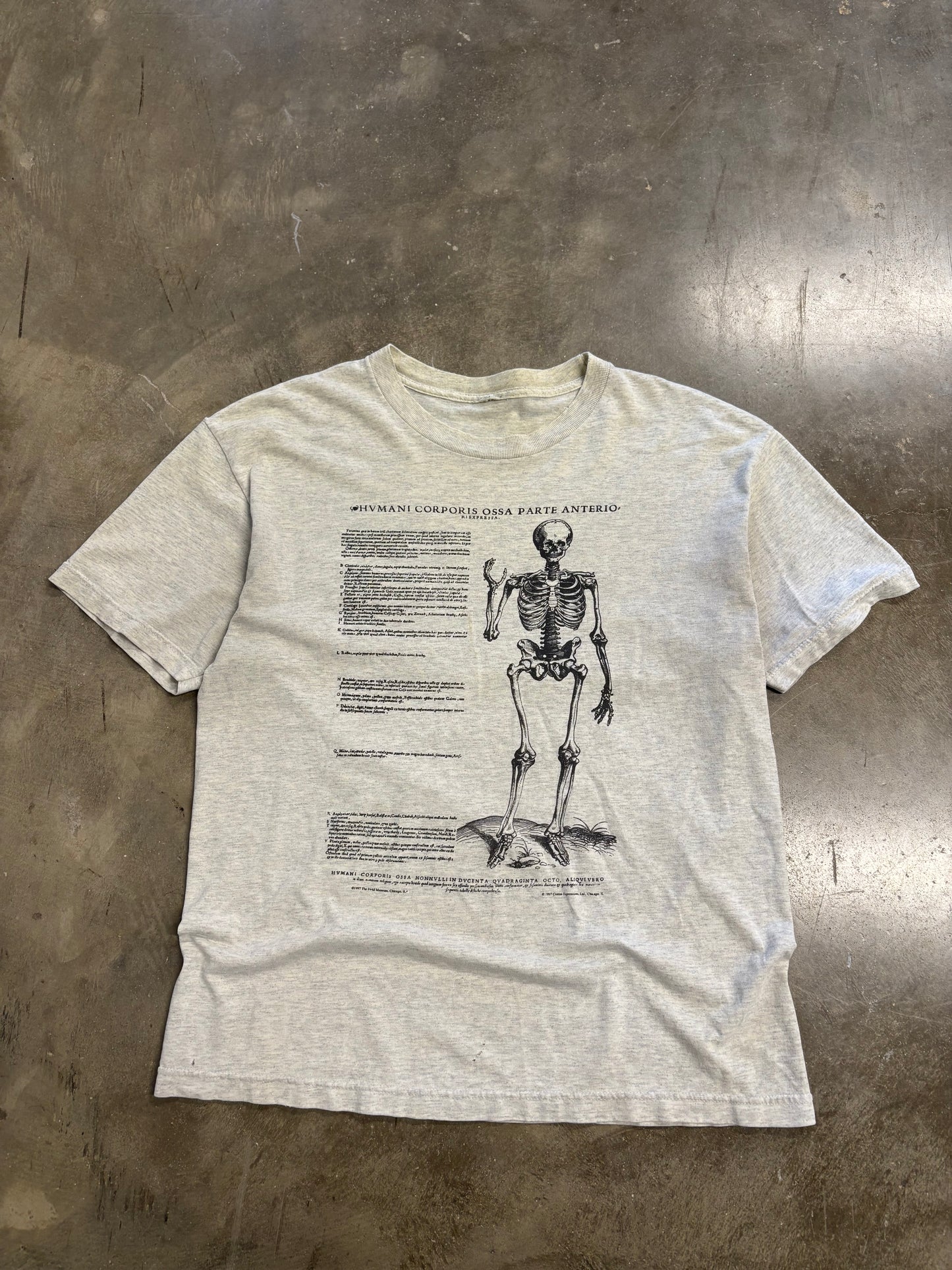 Vintage Anatomy shirt size large