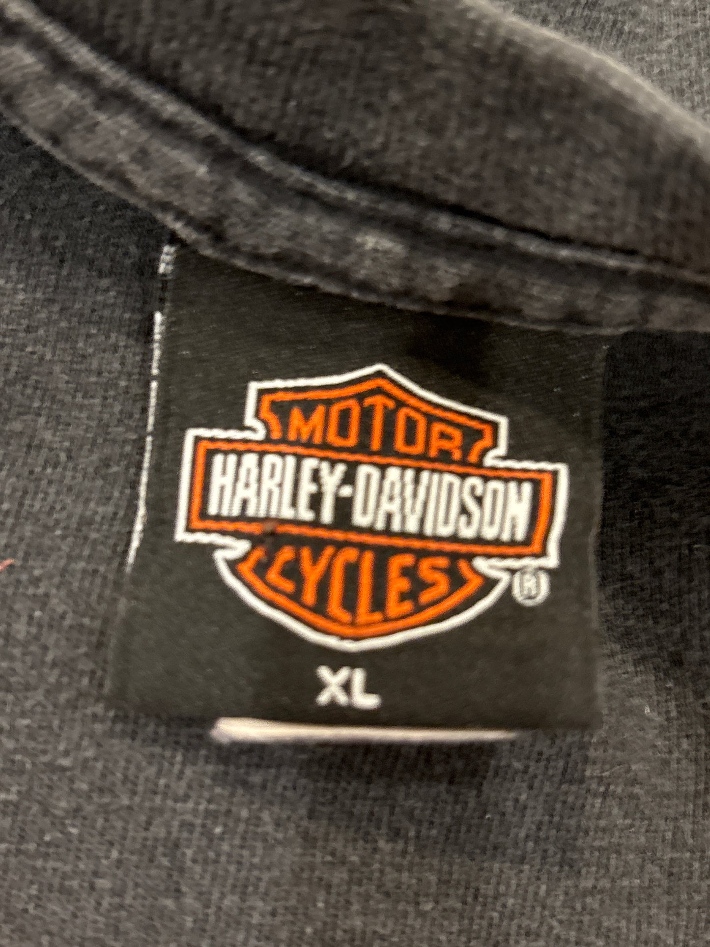 Vintage Harley Davidson Rainbow Eagle shirt size XL