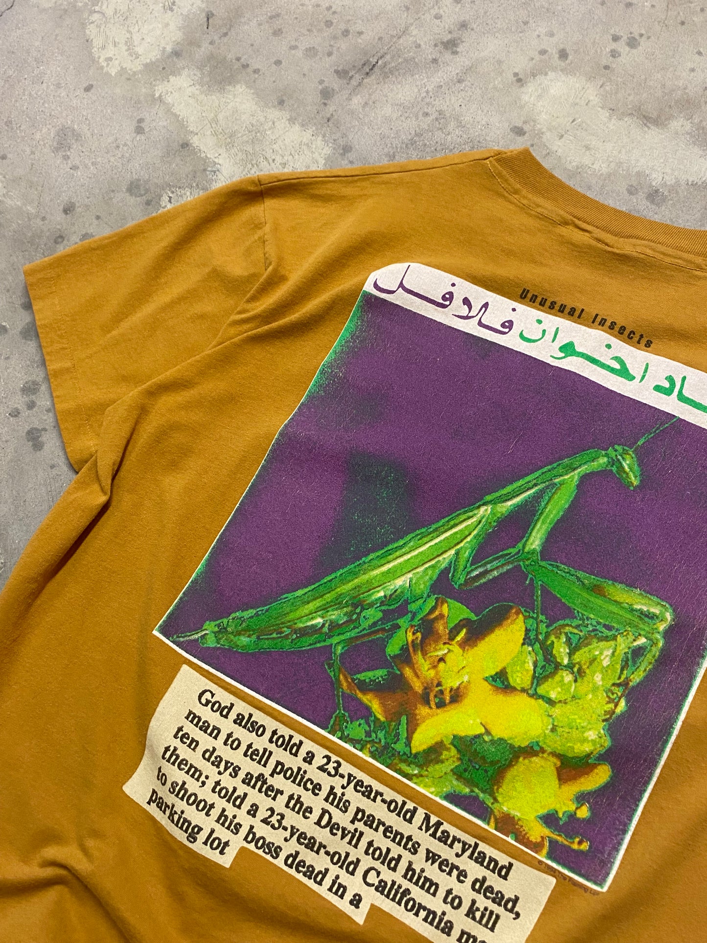 Vintage The Flaming Lips Musical Insects shirt size Extra large