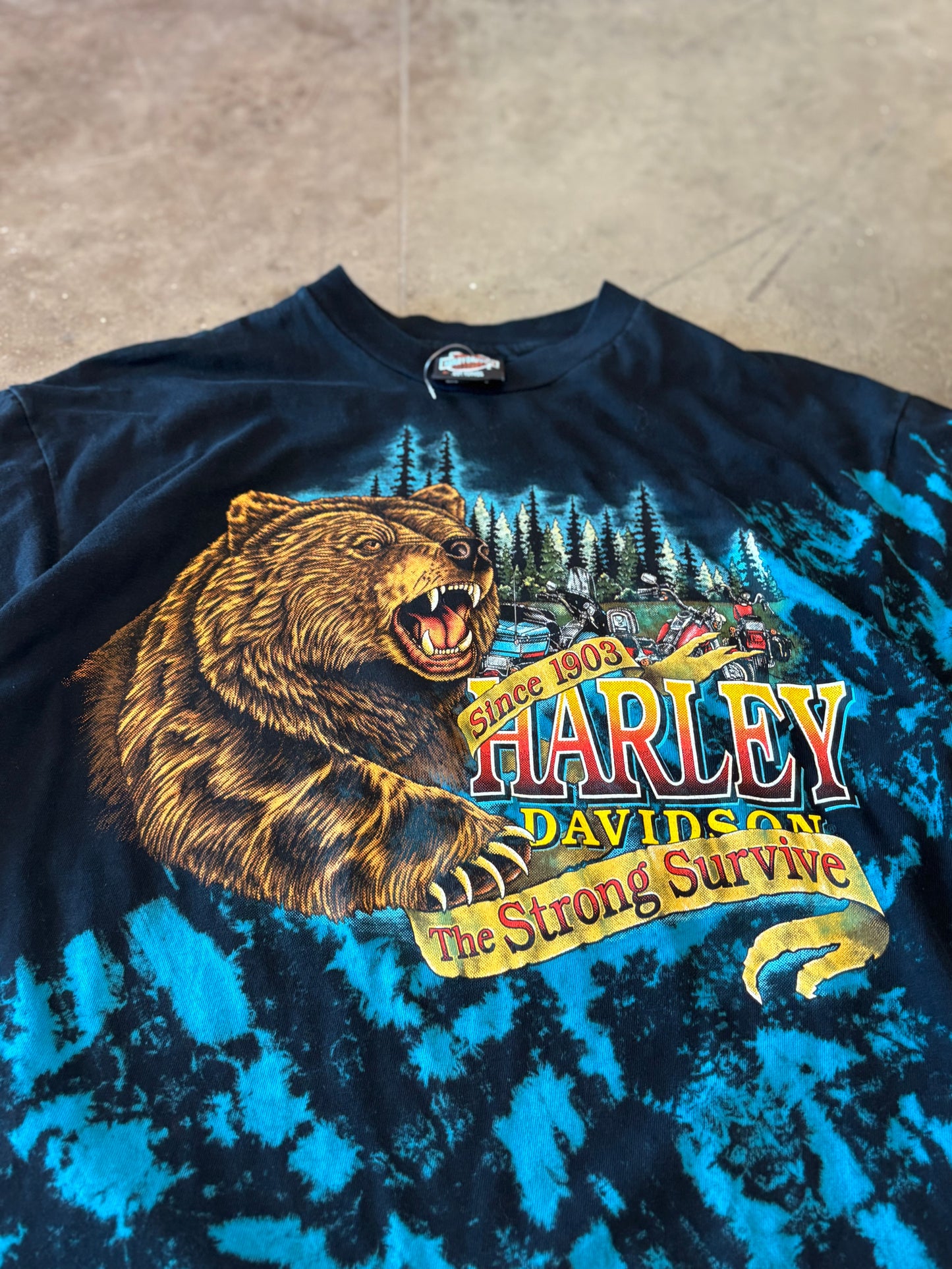 Vintage Harley Davidson Bear Tie Dye shirt size large