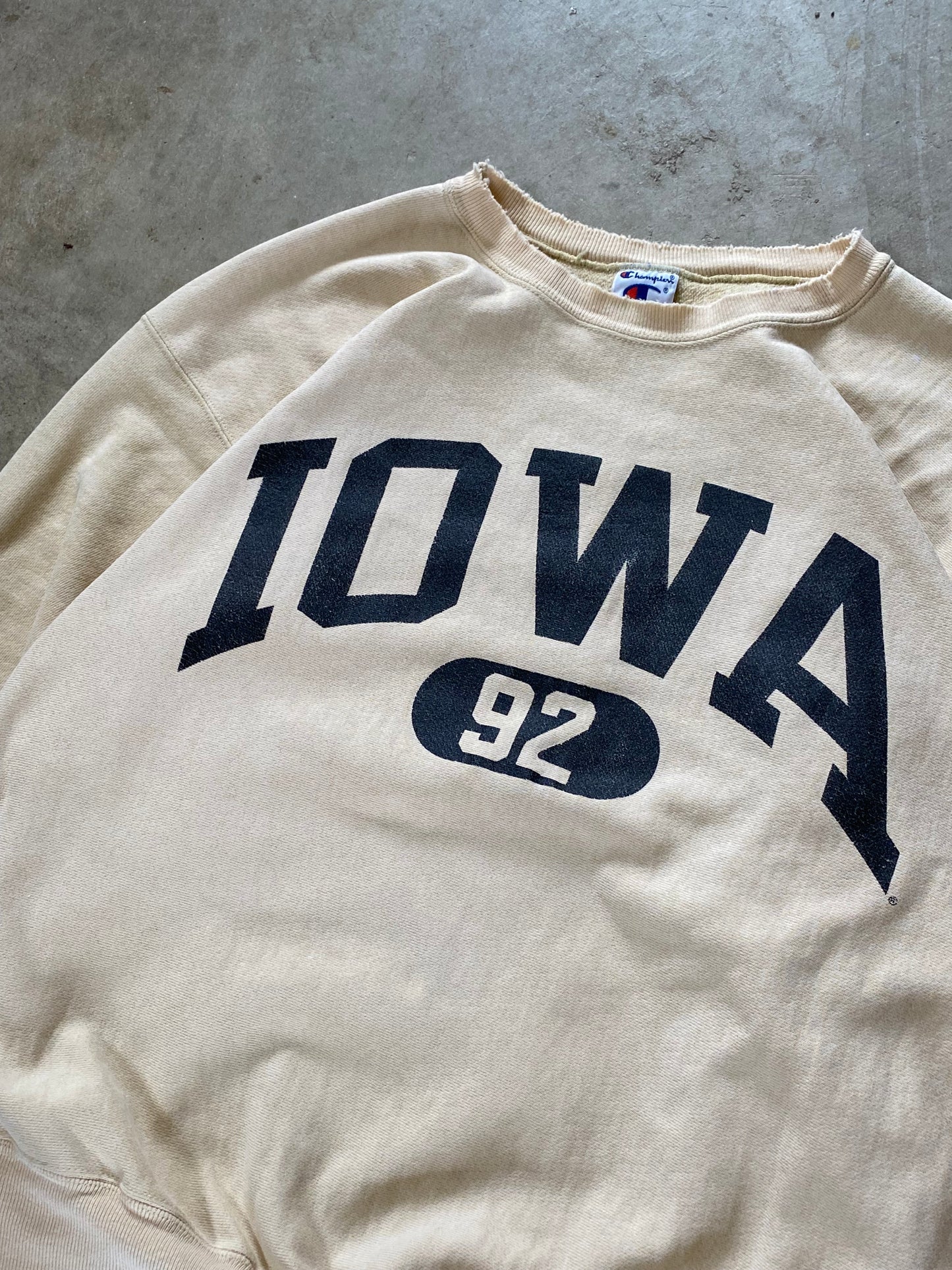 Vintage Champion Iowa Reverse weave sweatshirt Earth Tone Size XL