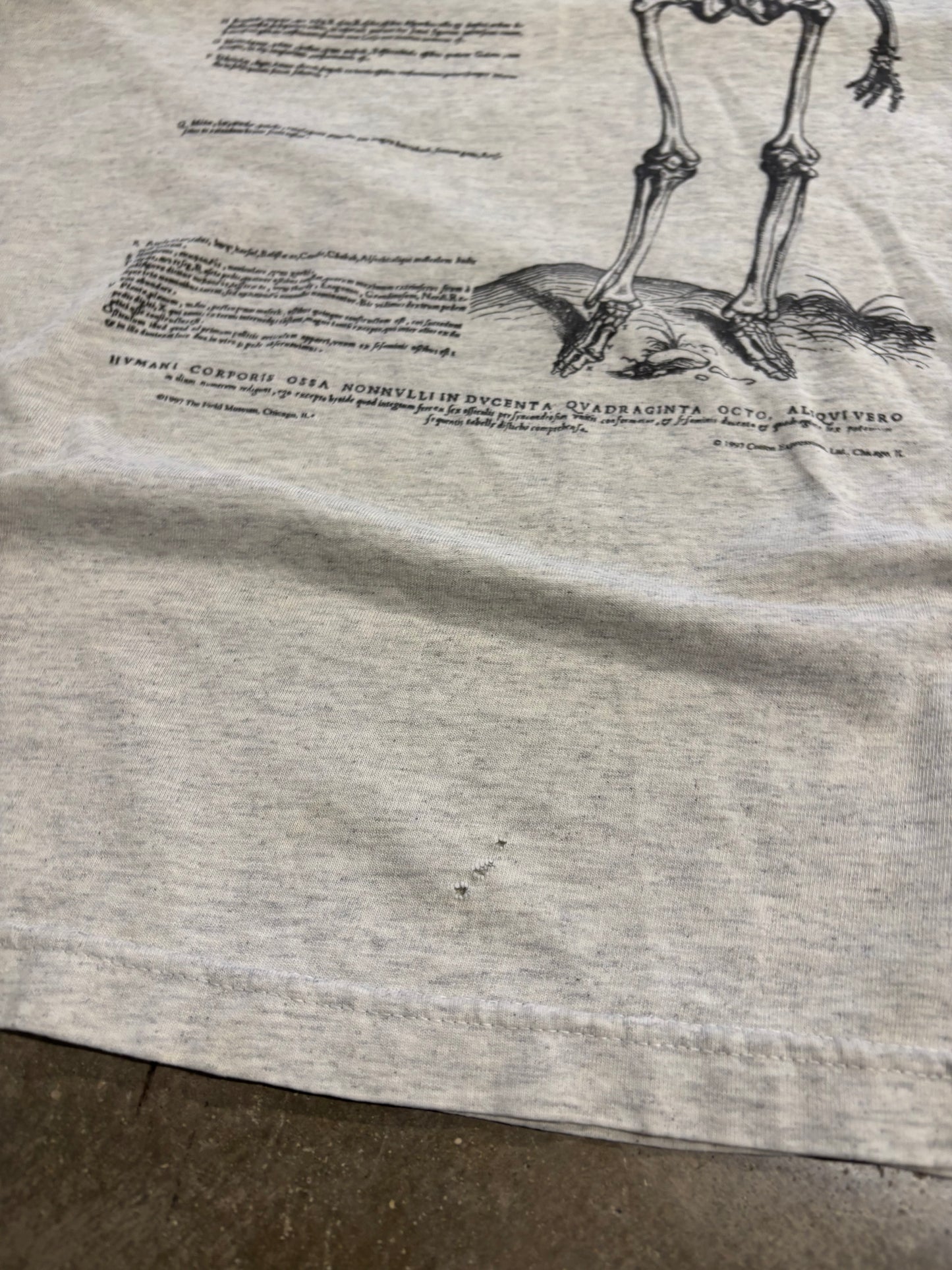 Vintage Anatomy shirt size large