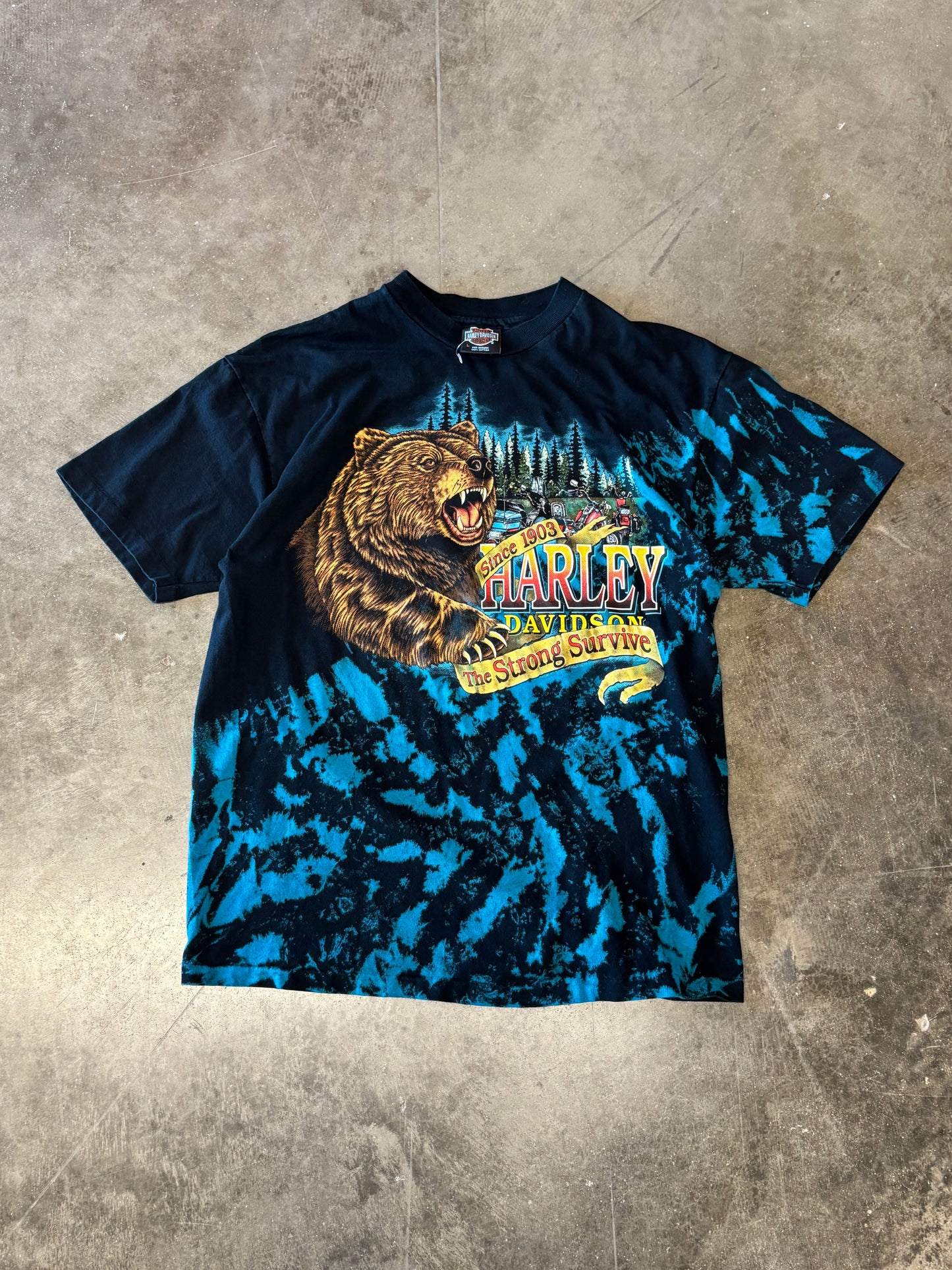 Vintage Harley Davidson Bear Tie Dye shirt size large