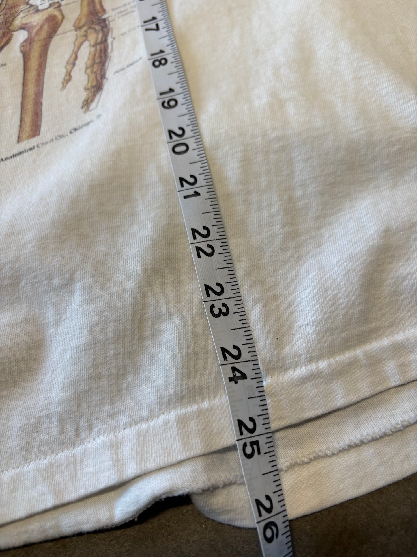 Vintage Anatomy skeleton shirt size large