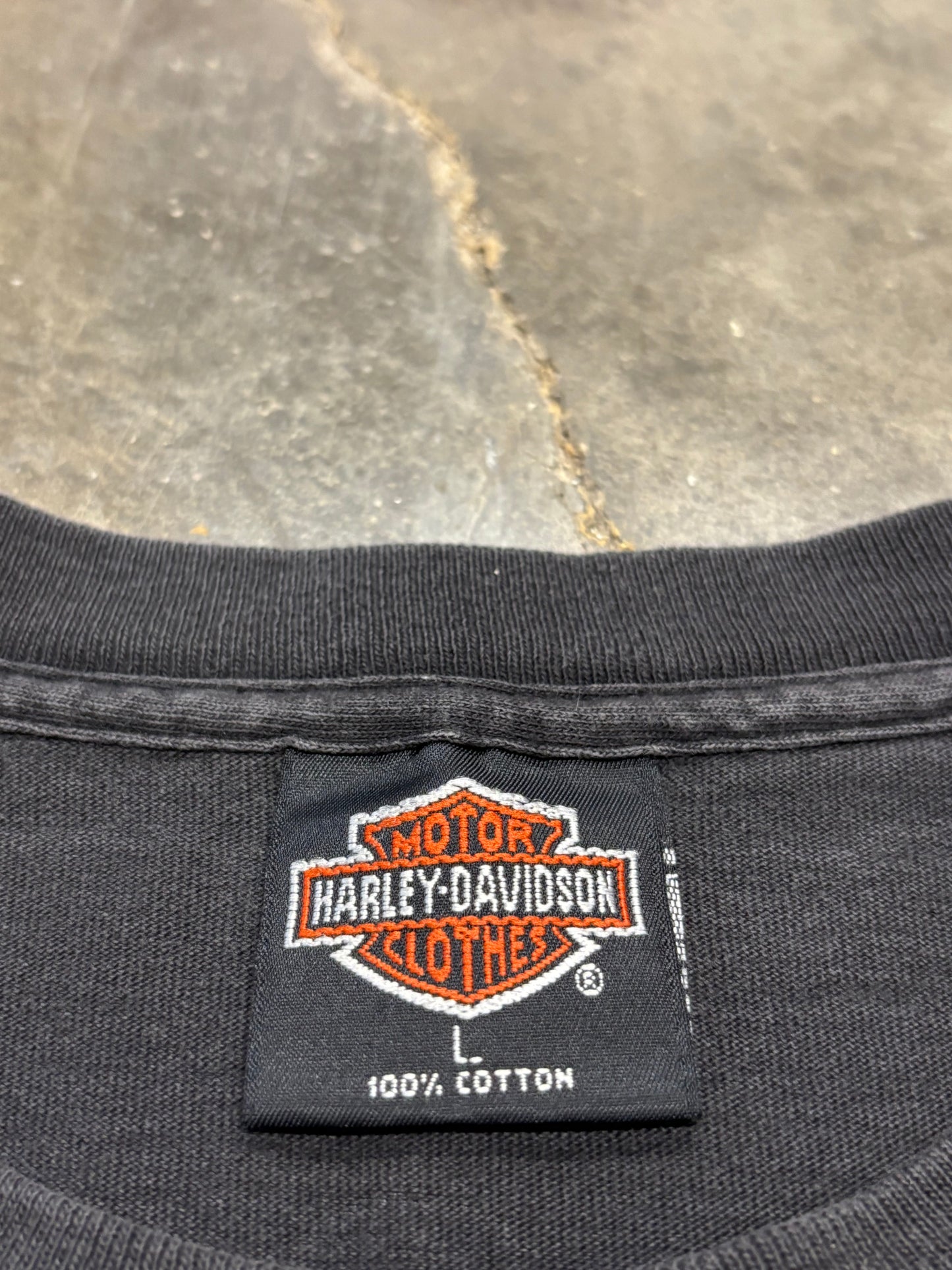 Vintage Harley Davidson Rising flames shirt size large