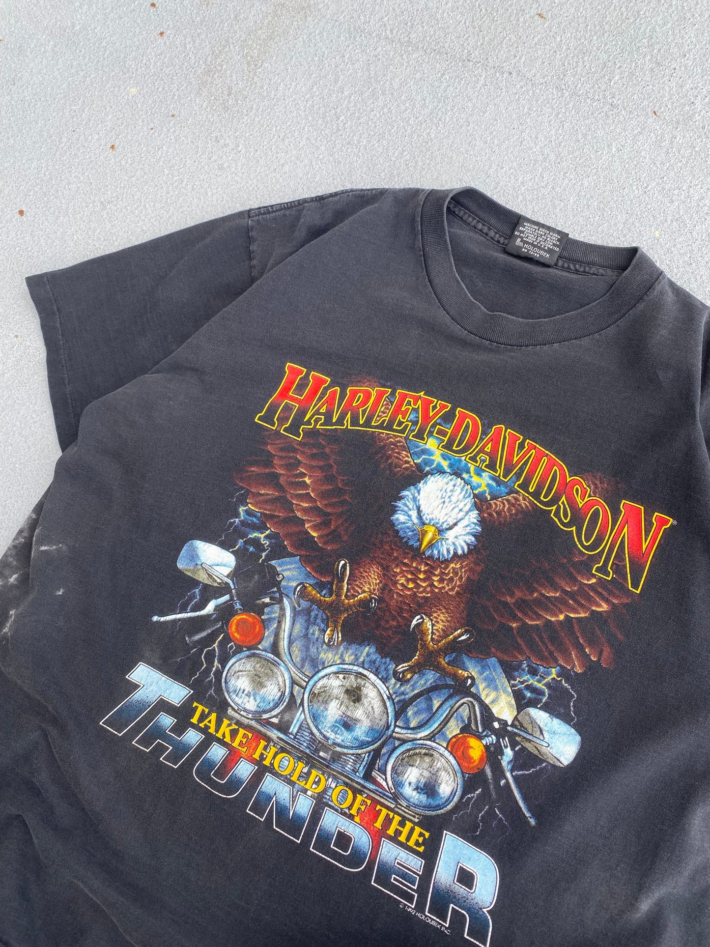 Vintage Harley Davidson Take Hold of the Thunder size XL