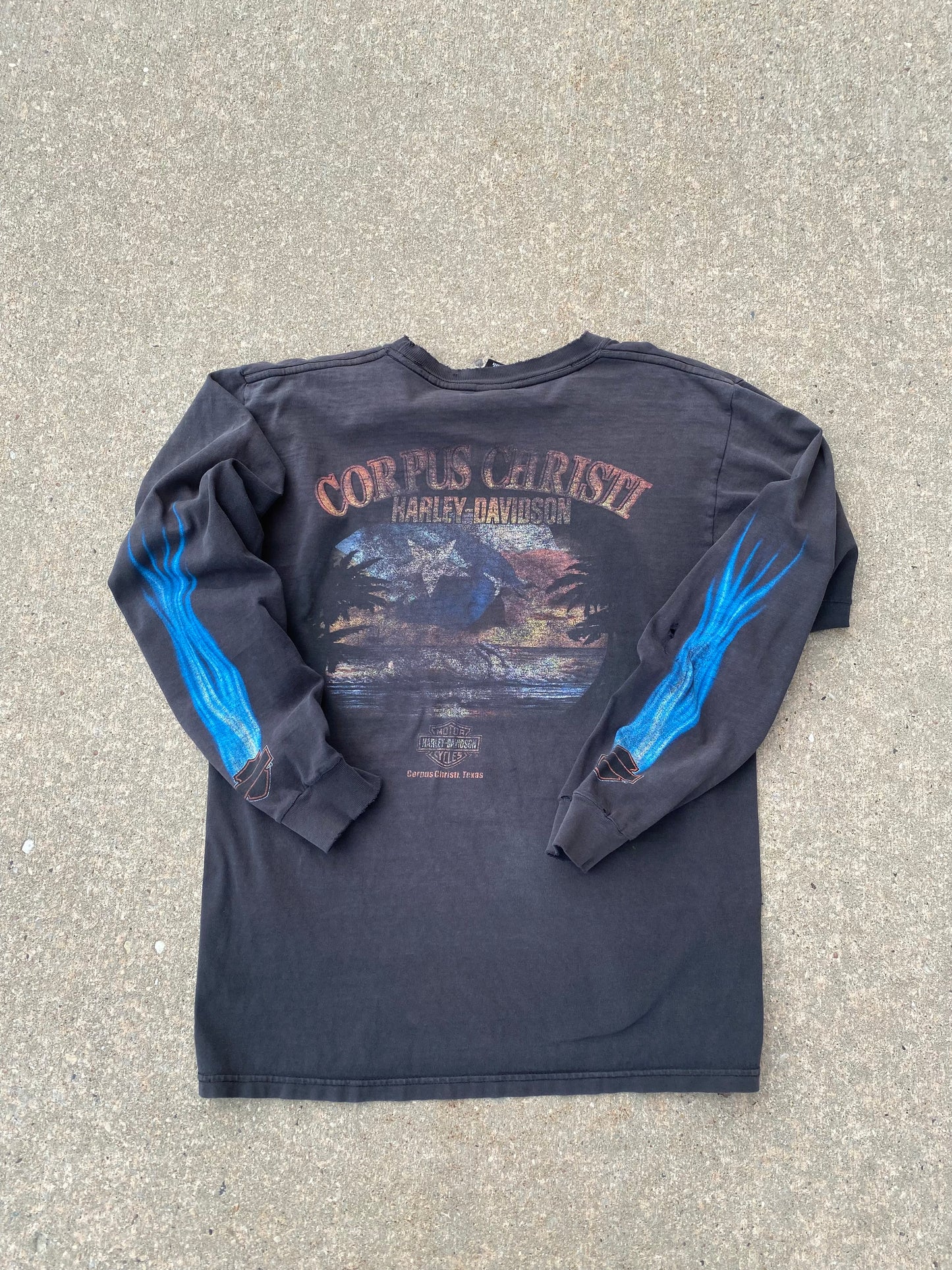 Vintage Harley Davidson Thrashed Blue Flame Long sleeve size medium