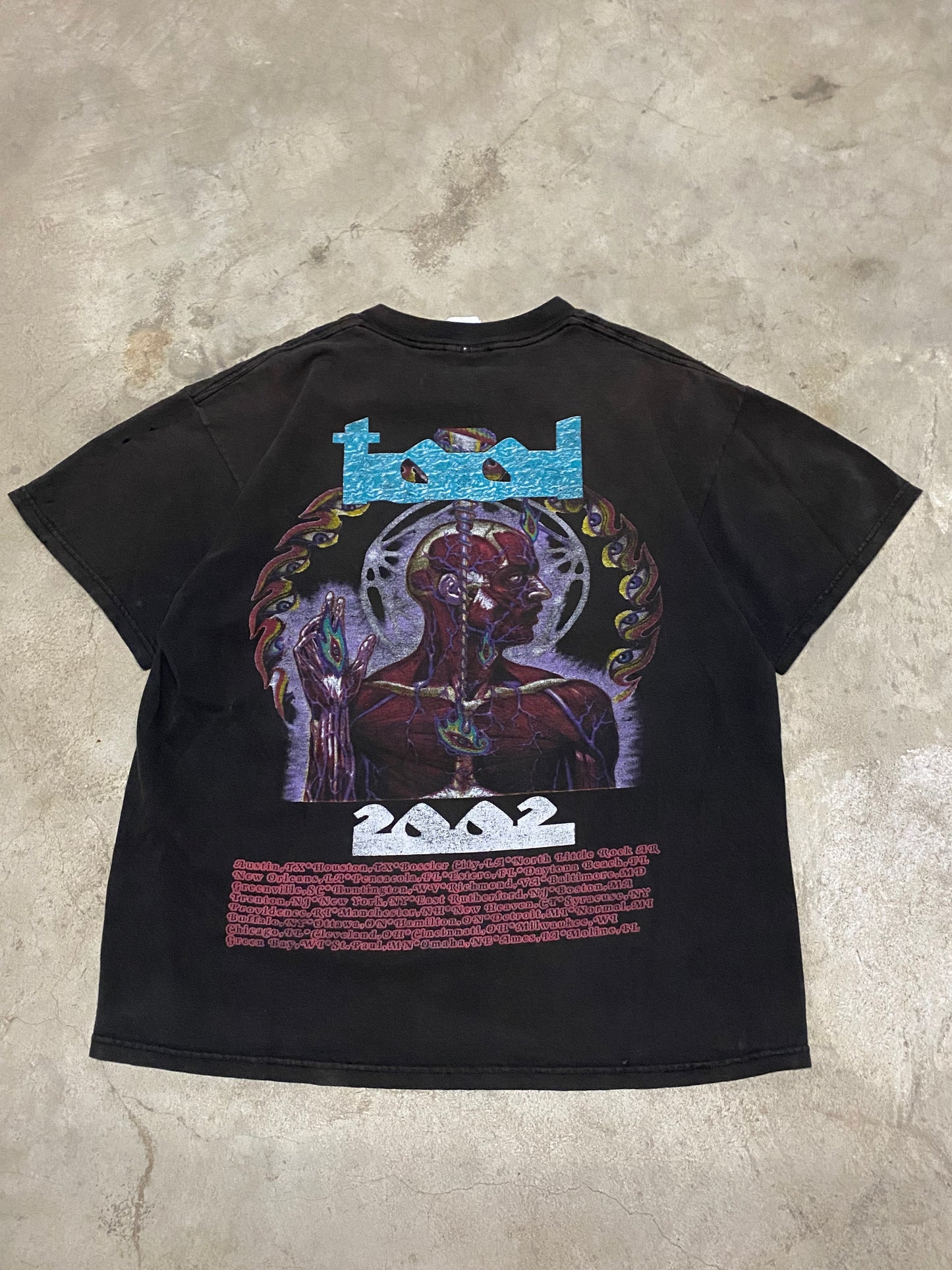 Vintage 2002 Tool Tour shirt Size Large