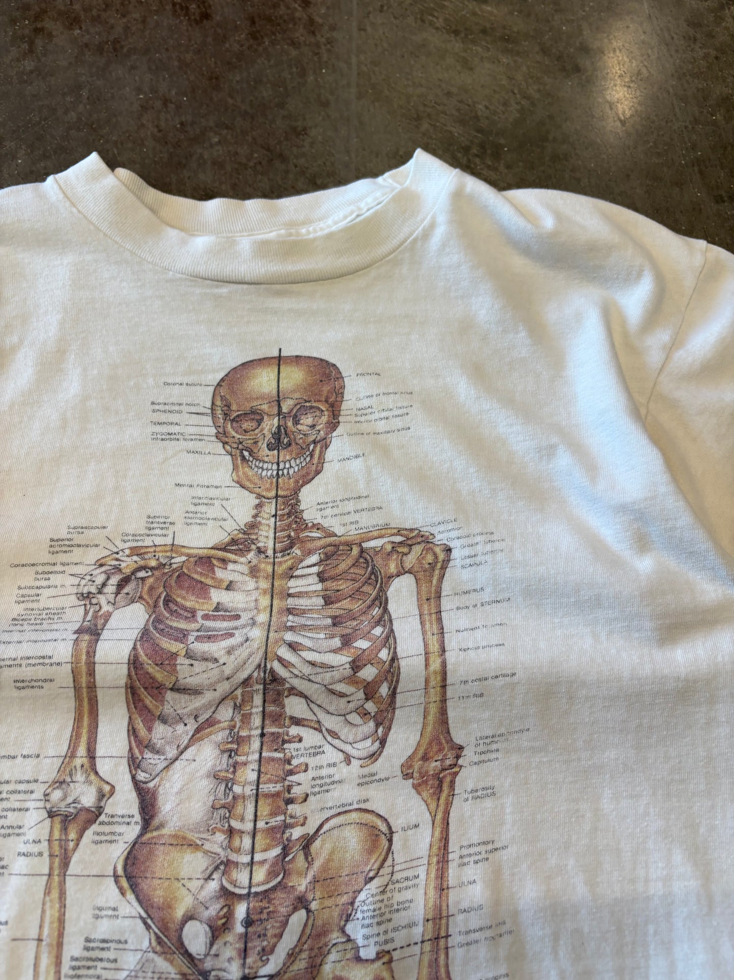 Vintage Anatomy skeleton shirt size large