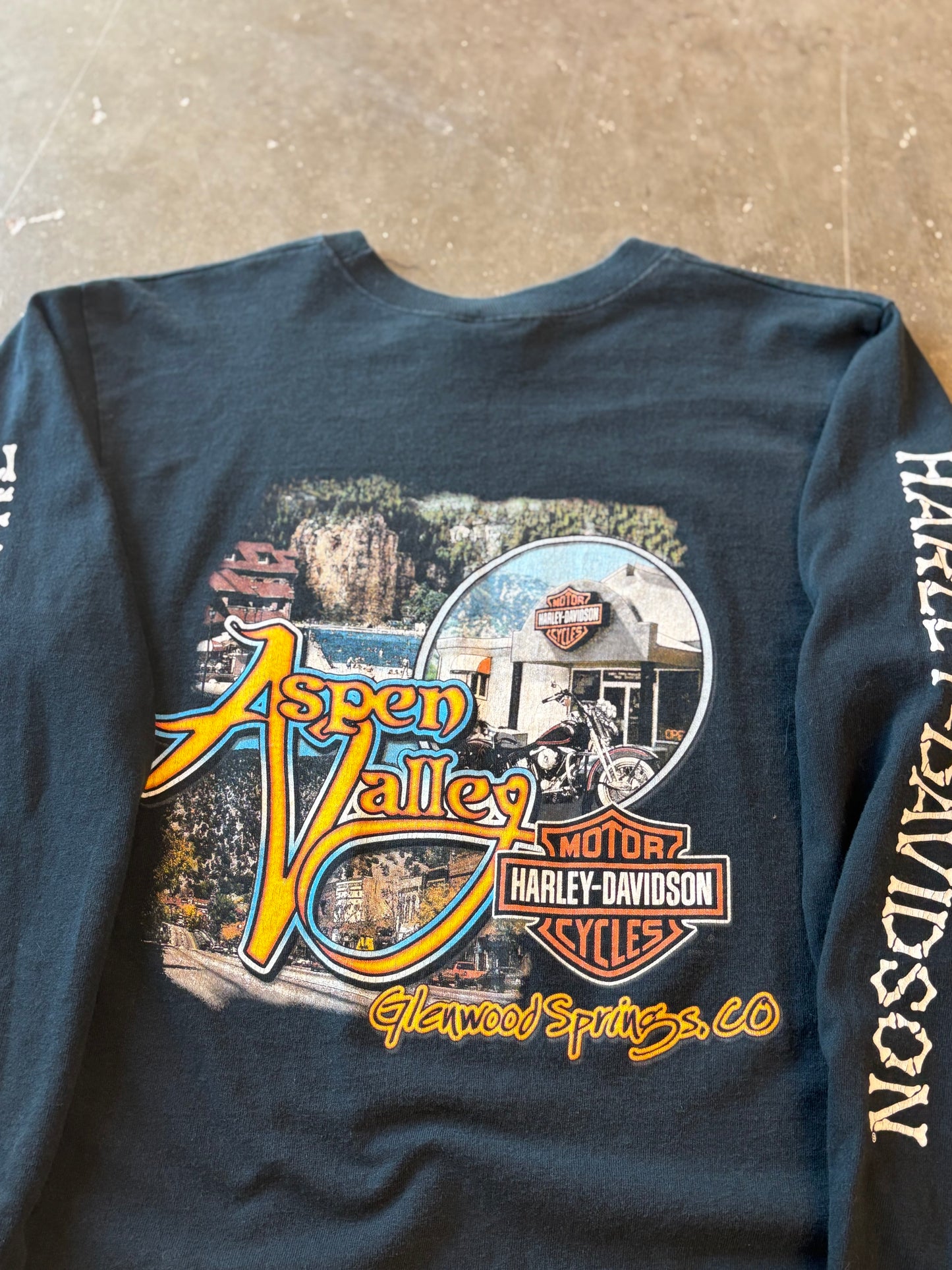 Vintage Harley Davidson bad to the bone long sleeve size medium