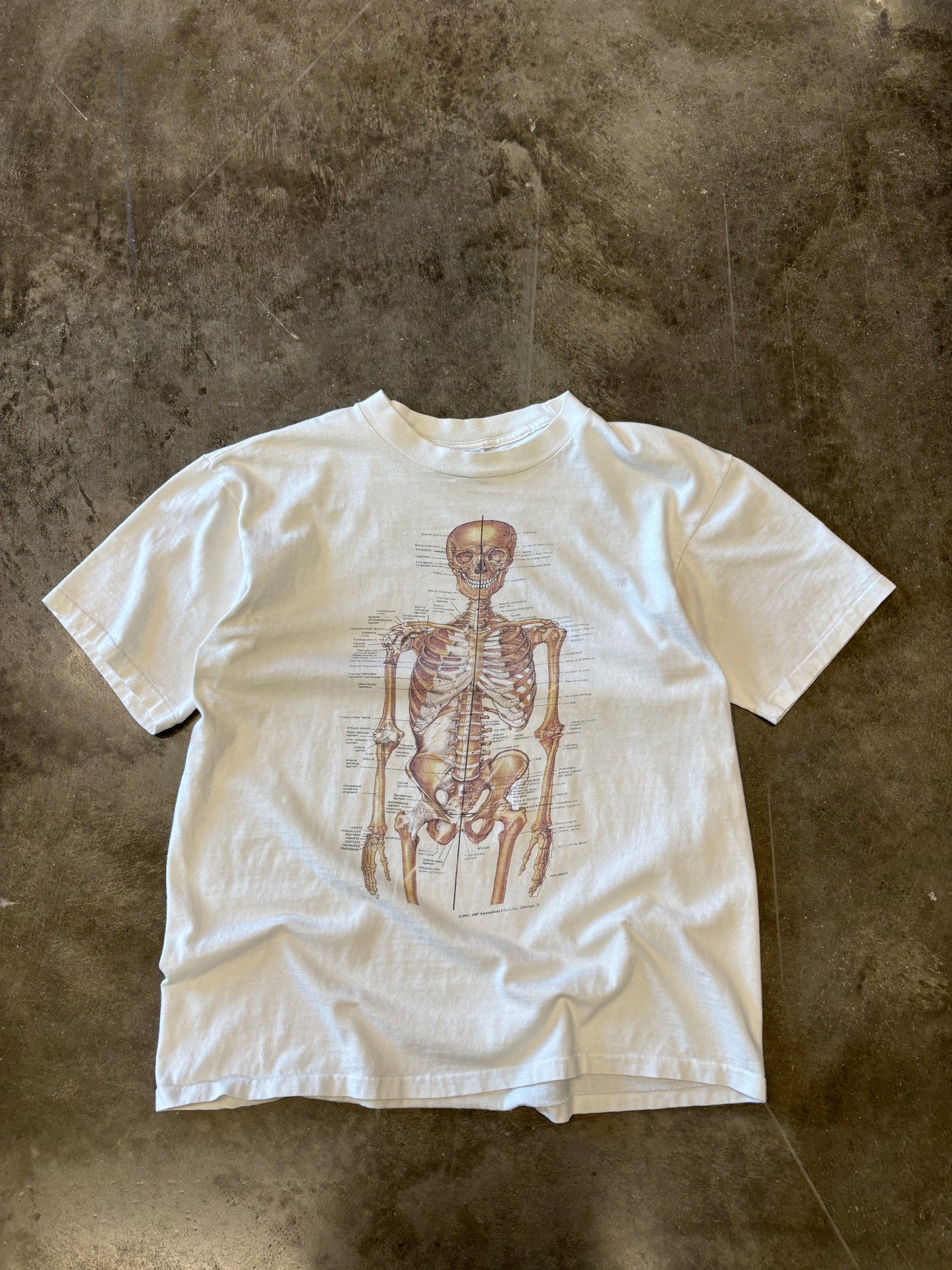 Vintage Anatomy skeleton shirt size large