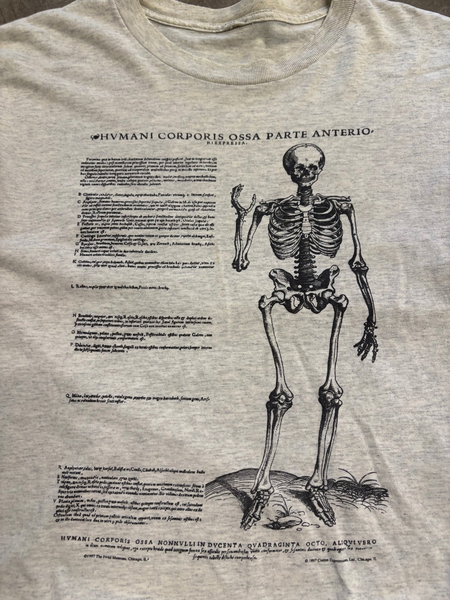 Vintage Anatomy shirt size large