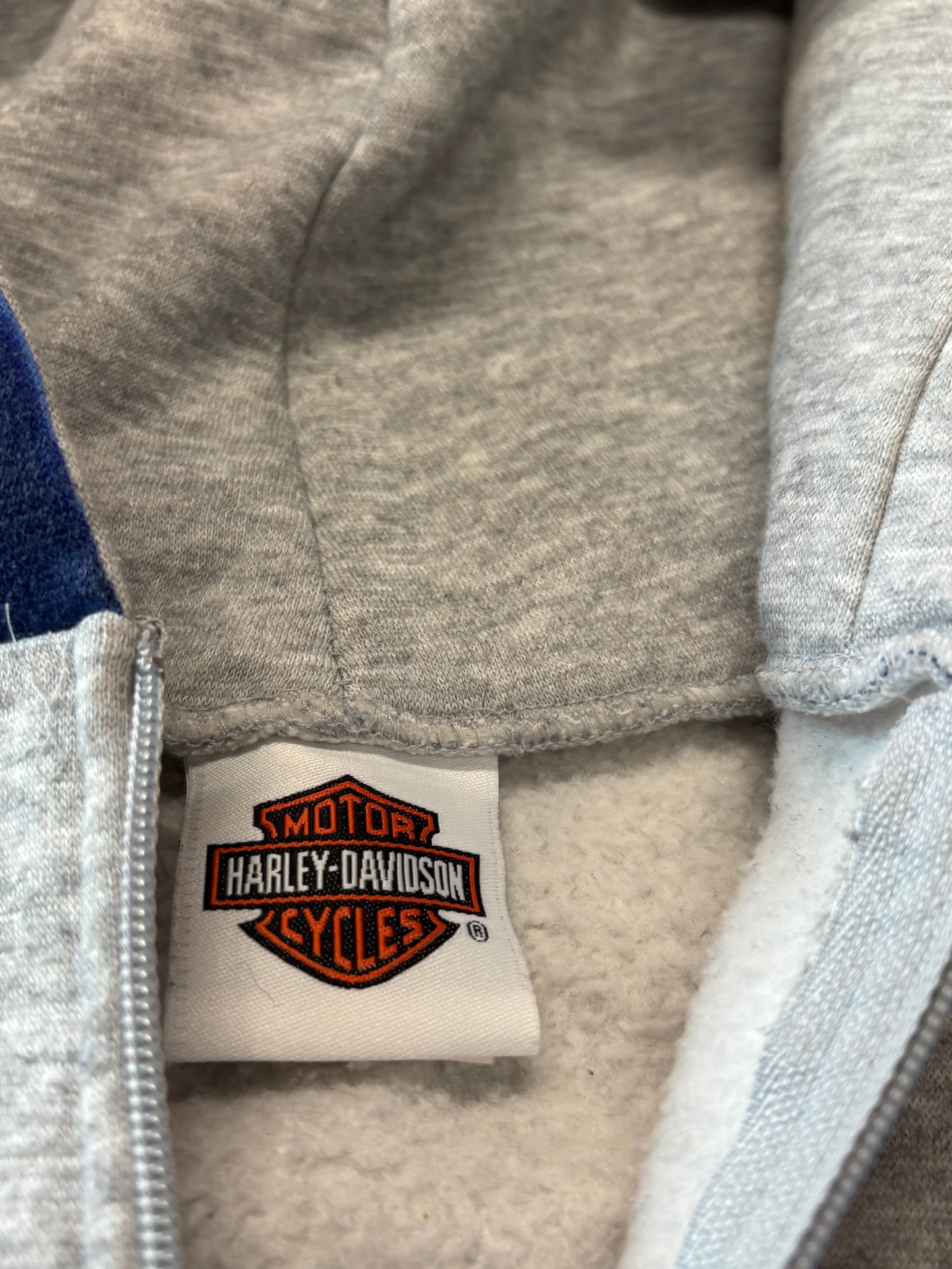Vintage Harley Davidson blue flame zip up size large