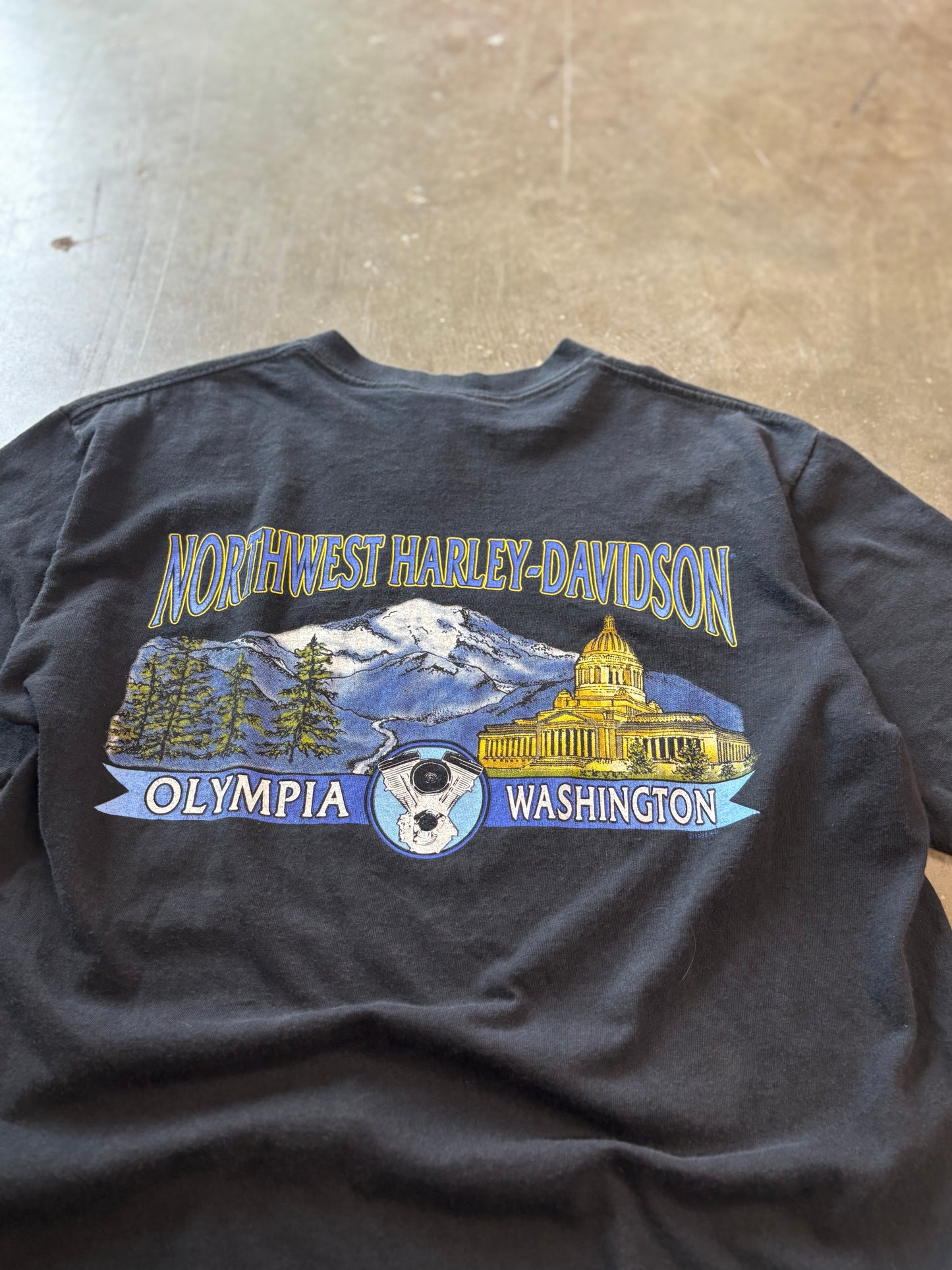 Vintage Harley Davidson Art shirt size large