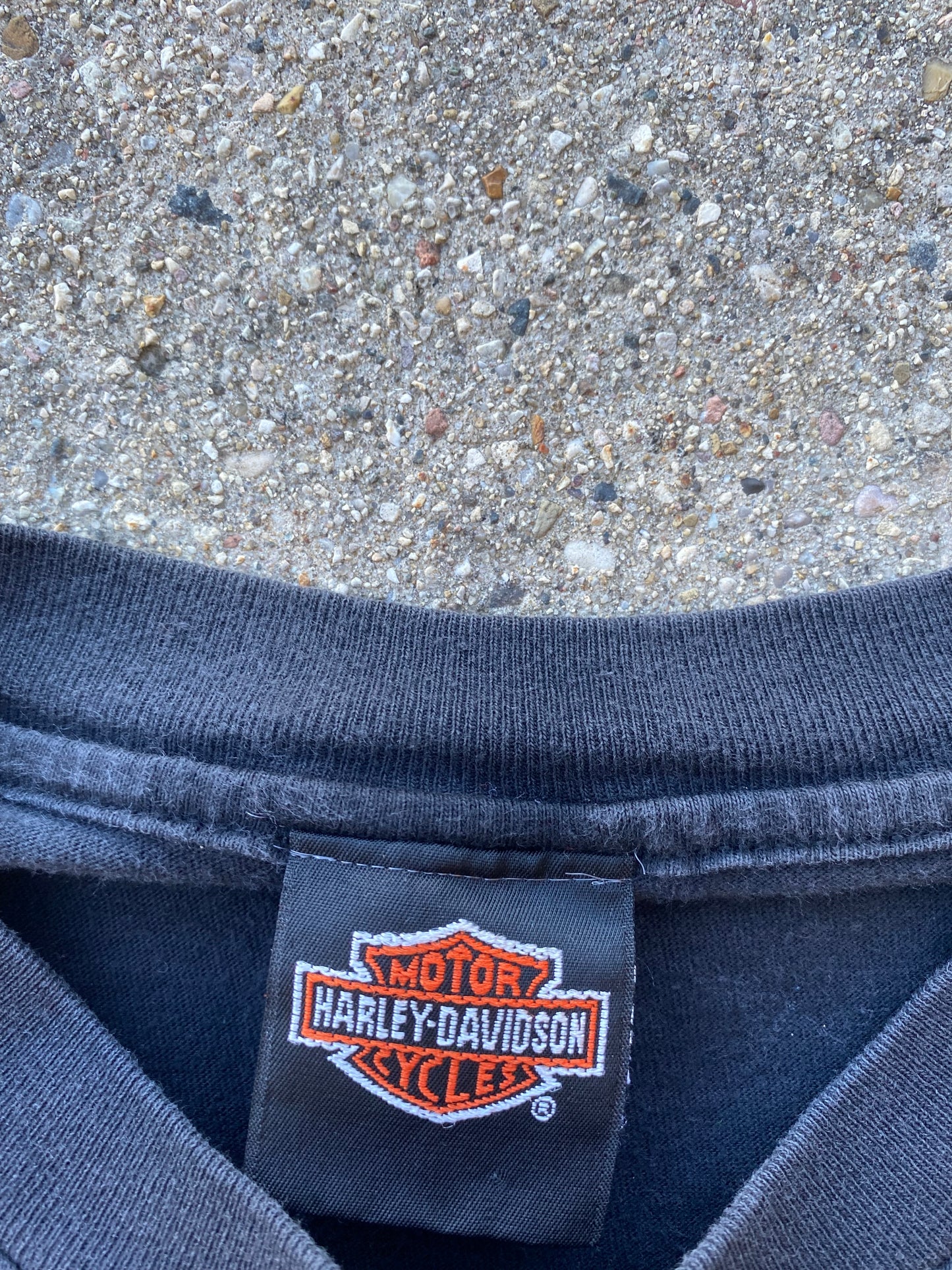 Vintage Harley Davidson Evolution shirt size large