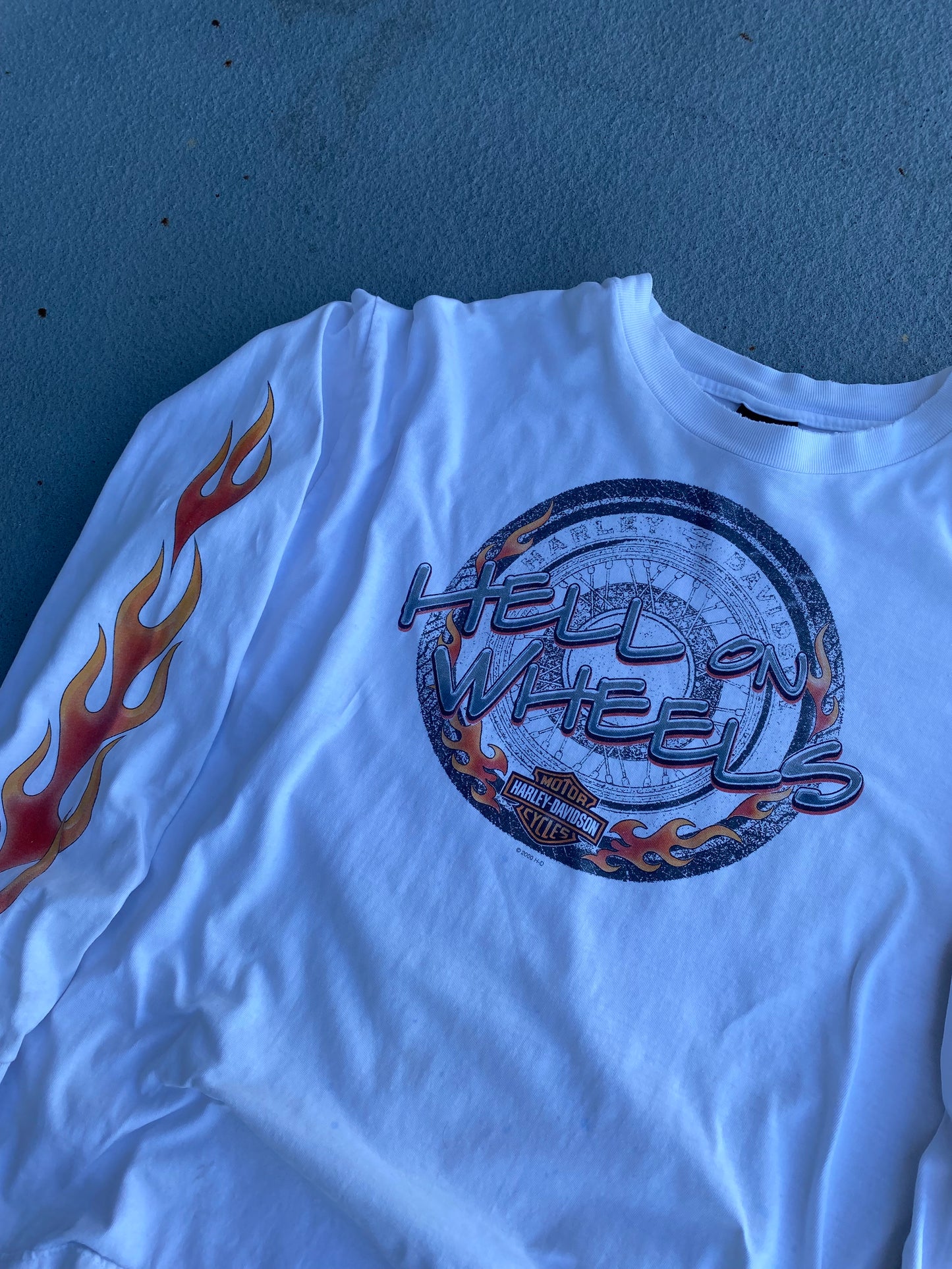 Vintage Harley Davidson Hell on Wheels Long sleeve Size XL