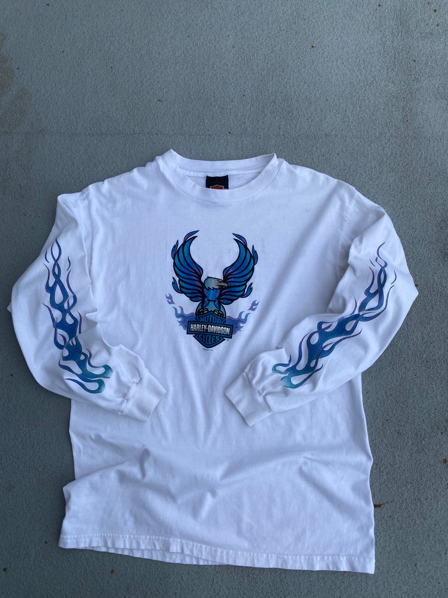 Vintage Harley Davidson Blue Flame Eagle Long sleeve size medium