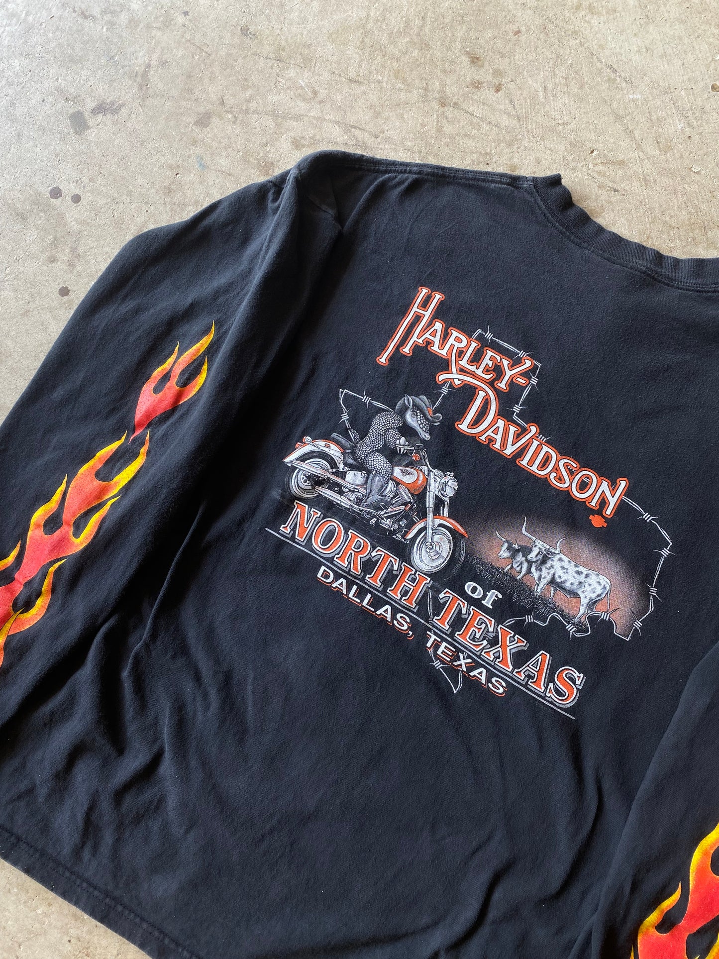 Vintage 90’s Flaming Eagle Harley Davidson Long sleeve size XXL