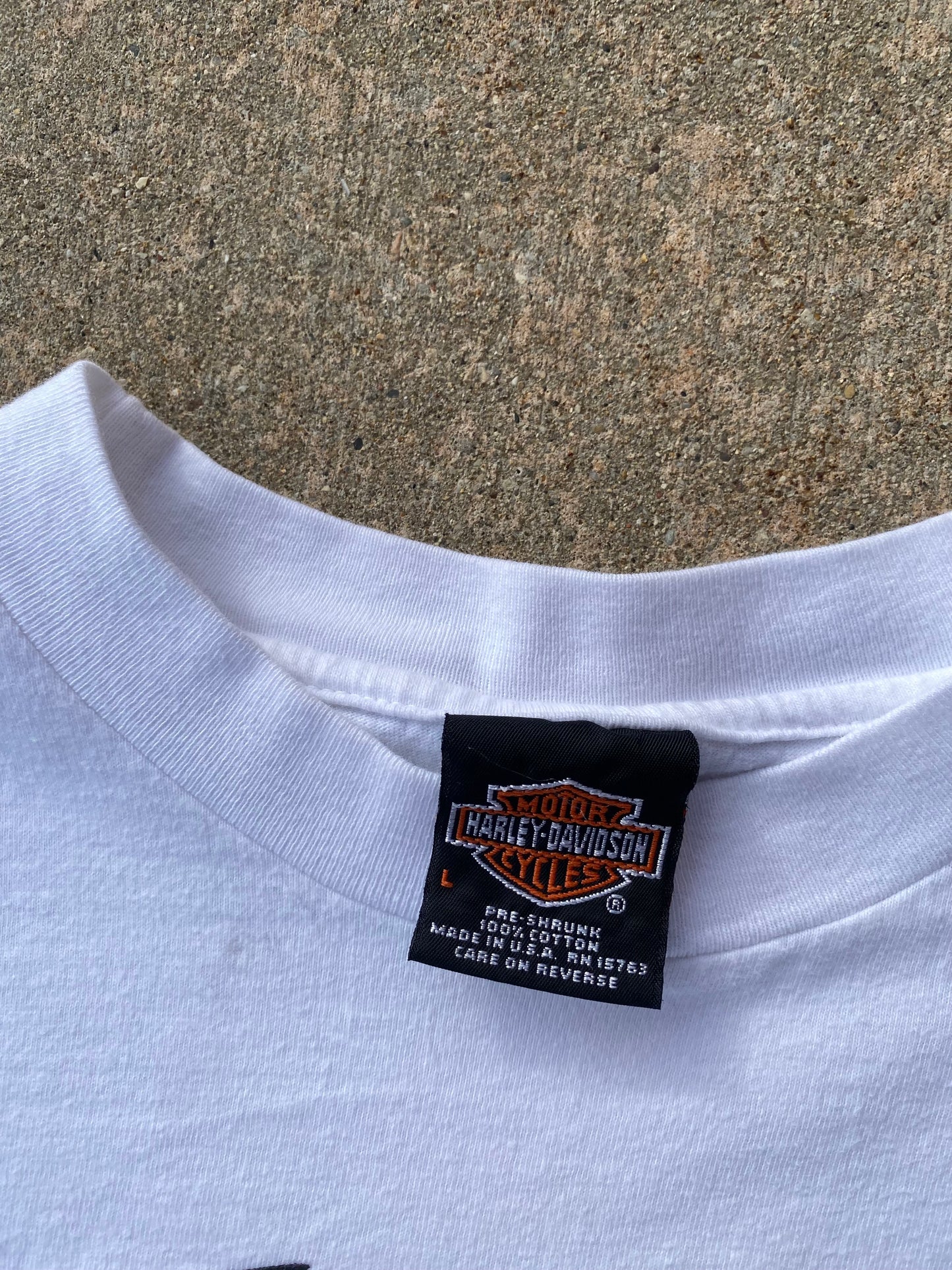 Vintage Harley Davidson Eagle Blue Flame Long sleeve Size Large