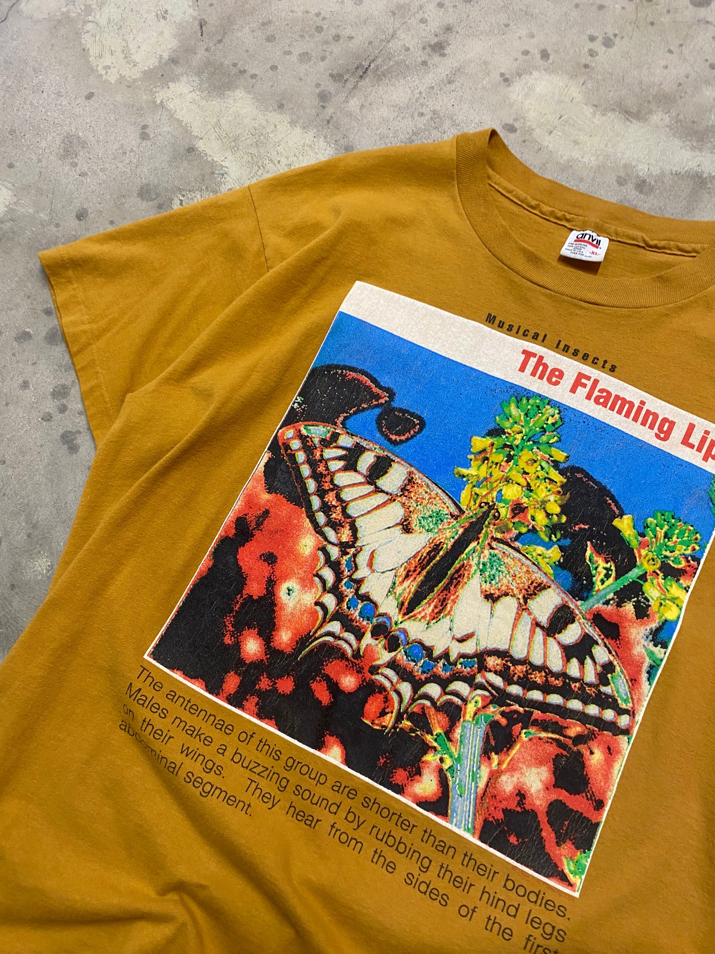 Vintage The Flaming Lips Musical Insects shirt size Extra large